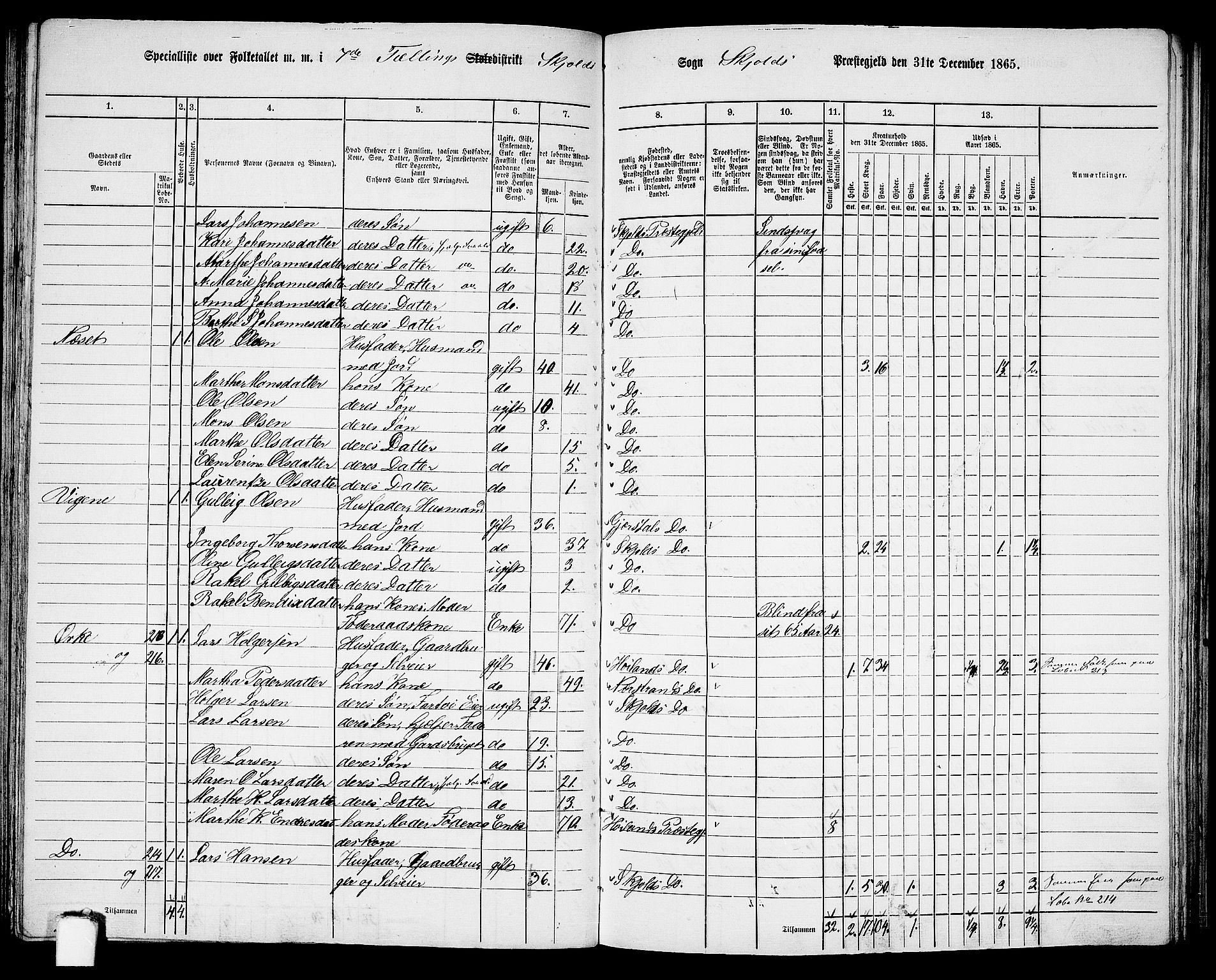 RA, 1865 census for Skjold, 1865, p. 100