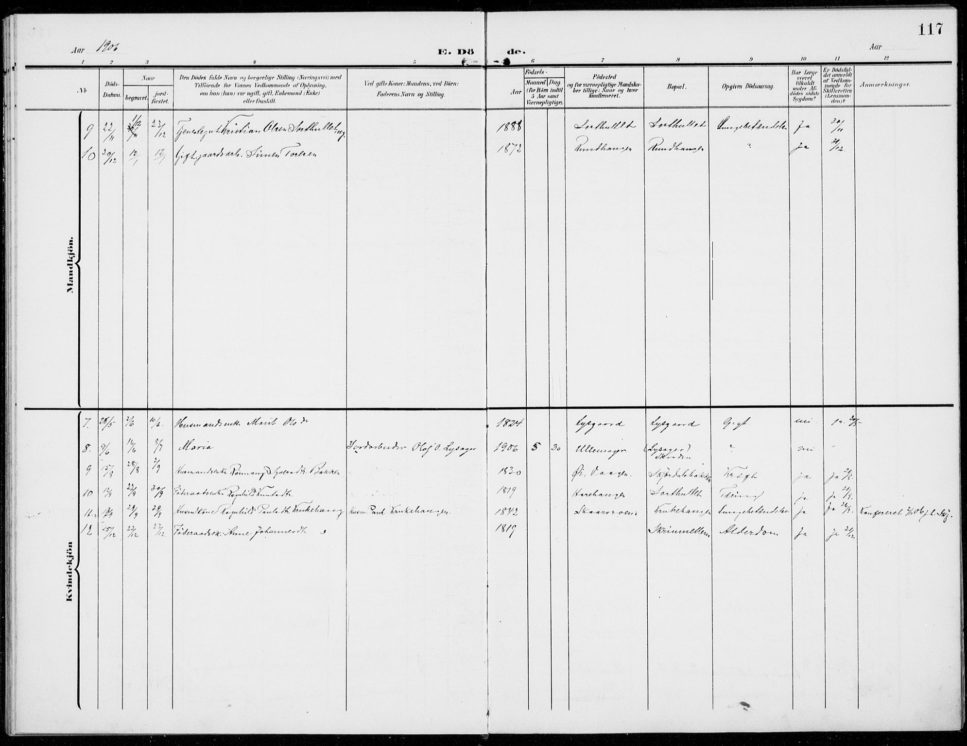 Sel prestekontor, SAH/PREST-074/H/Ha/Haa/L0001: Parish register (official) no. 1, 1905-1922, p. 117