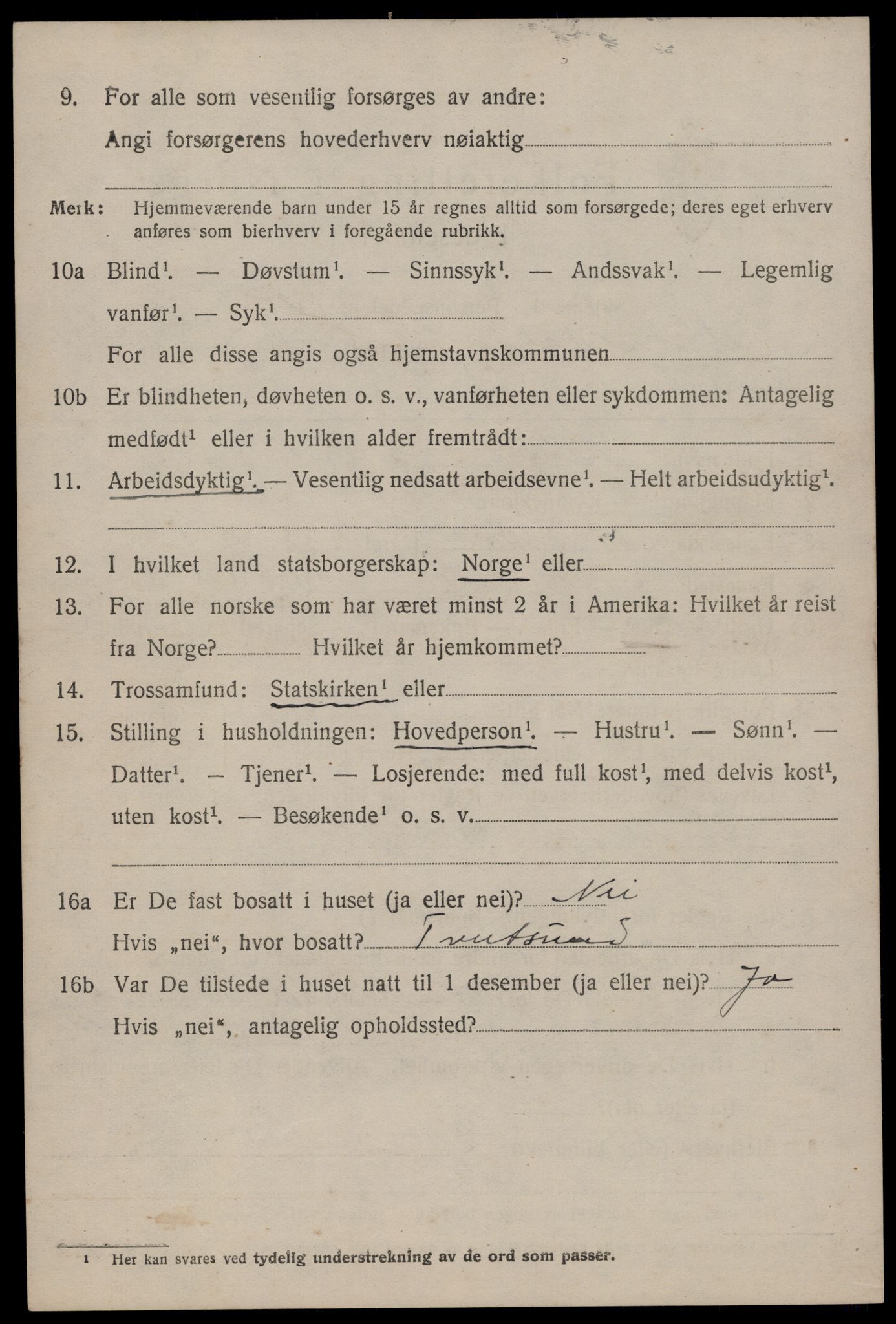 SAKO, 1920 census for Nissedal, 1920, p. 4704