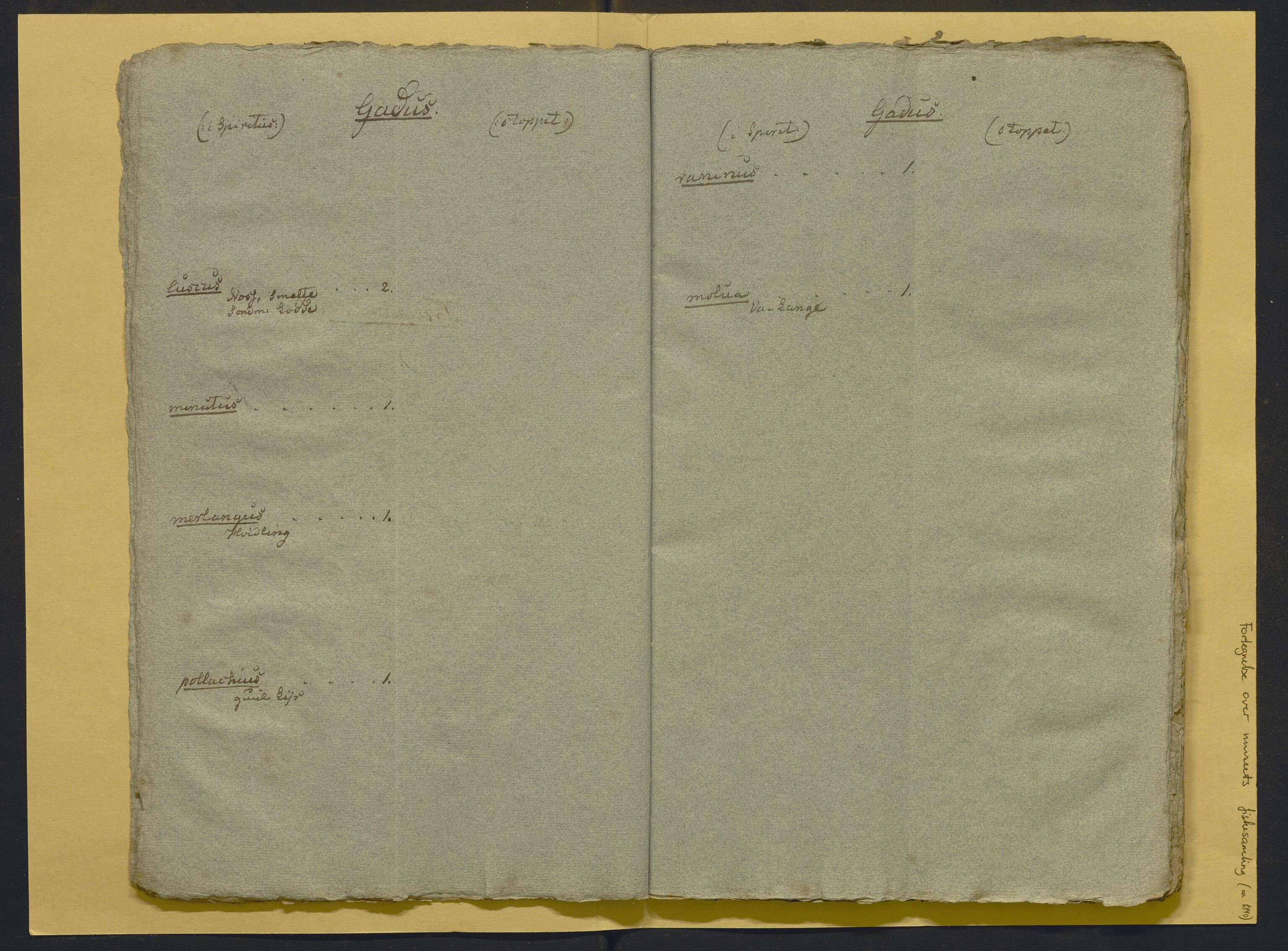 Bergens Museum, AV/SAB-A-17301/02/F/L0001: Kataloger over gjenstander og pergamentbrev , 1825-1880, p. 498