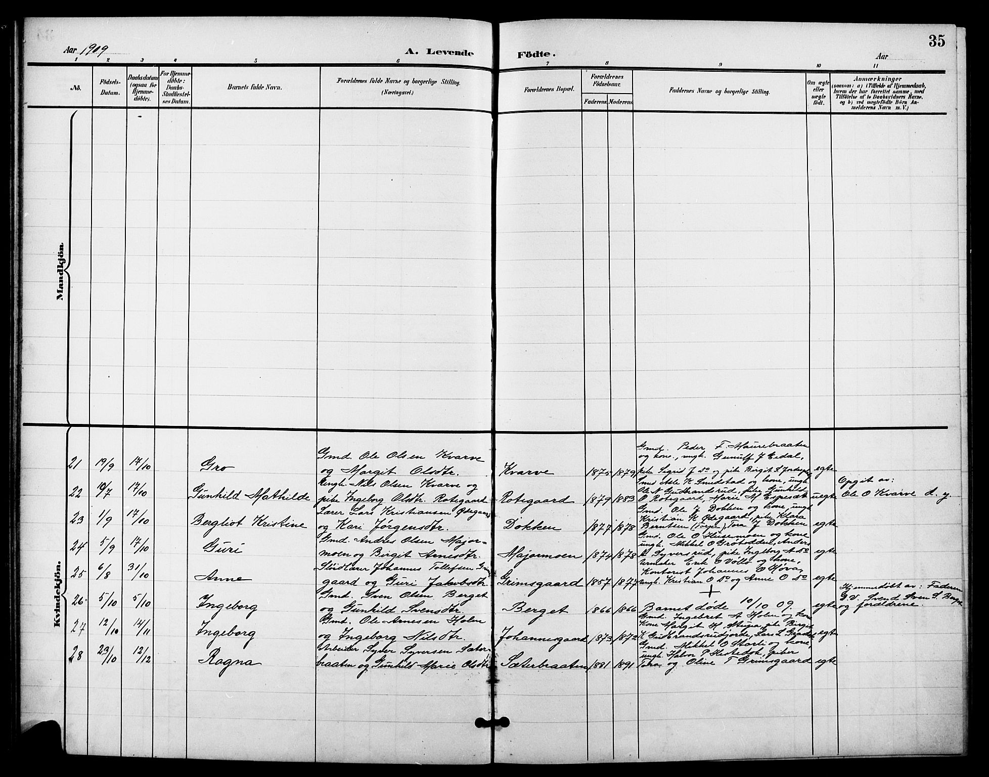 Nes kirkebøker, AV/SAKO-A-236/G/Ga/L0004: Parish register (copy) no. I 4, 1900-1925, p. 35