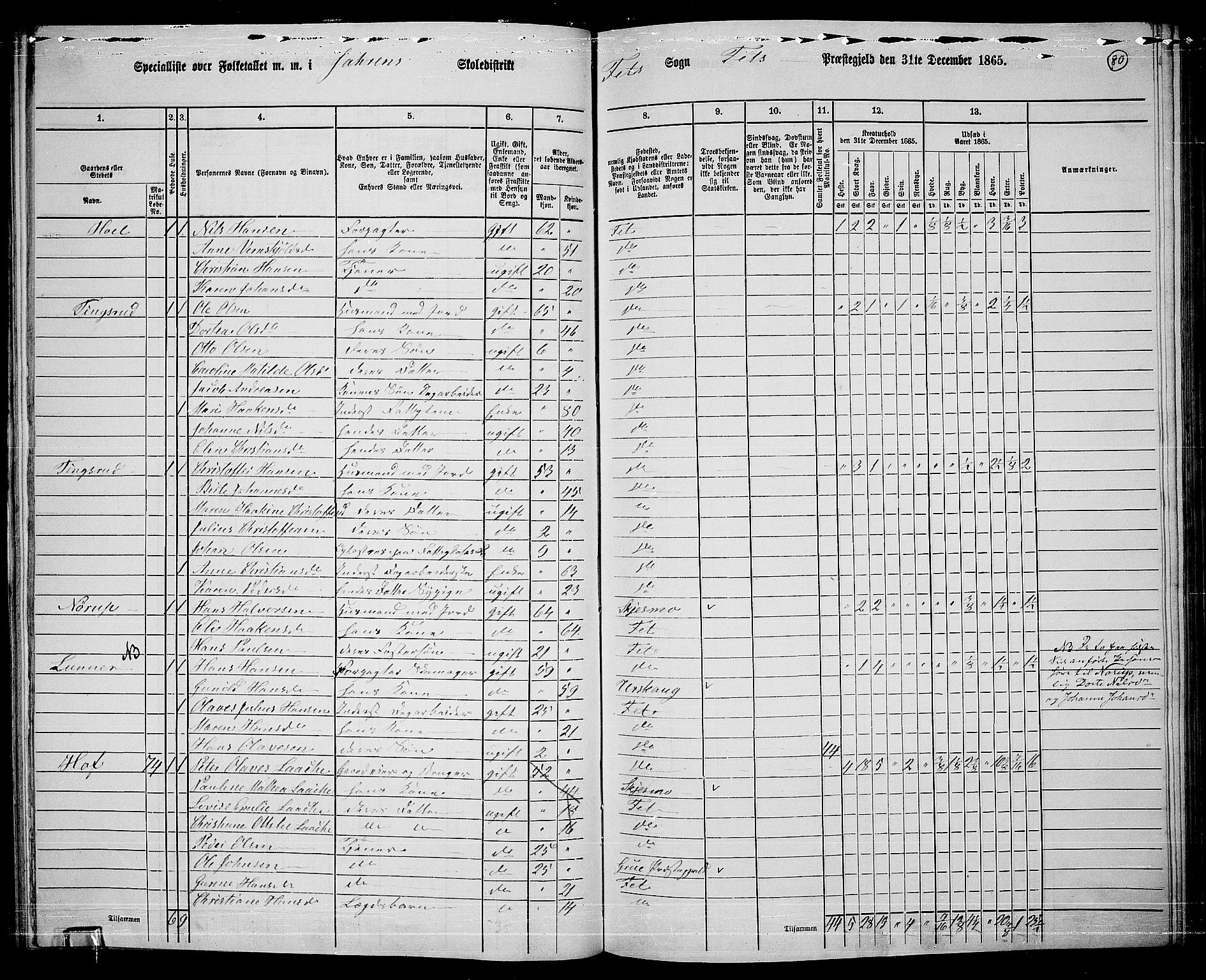 RA, 1865 census for Fet, 1865, p. 74