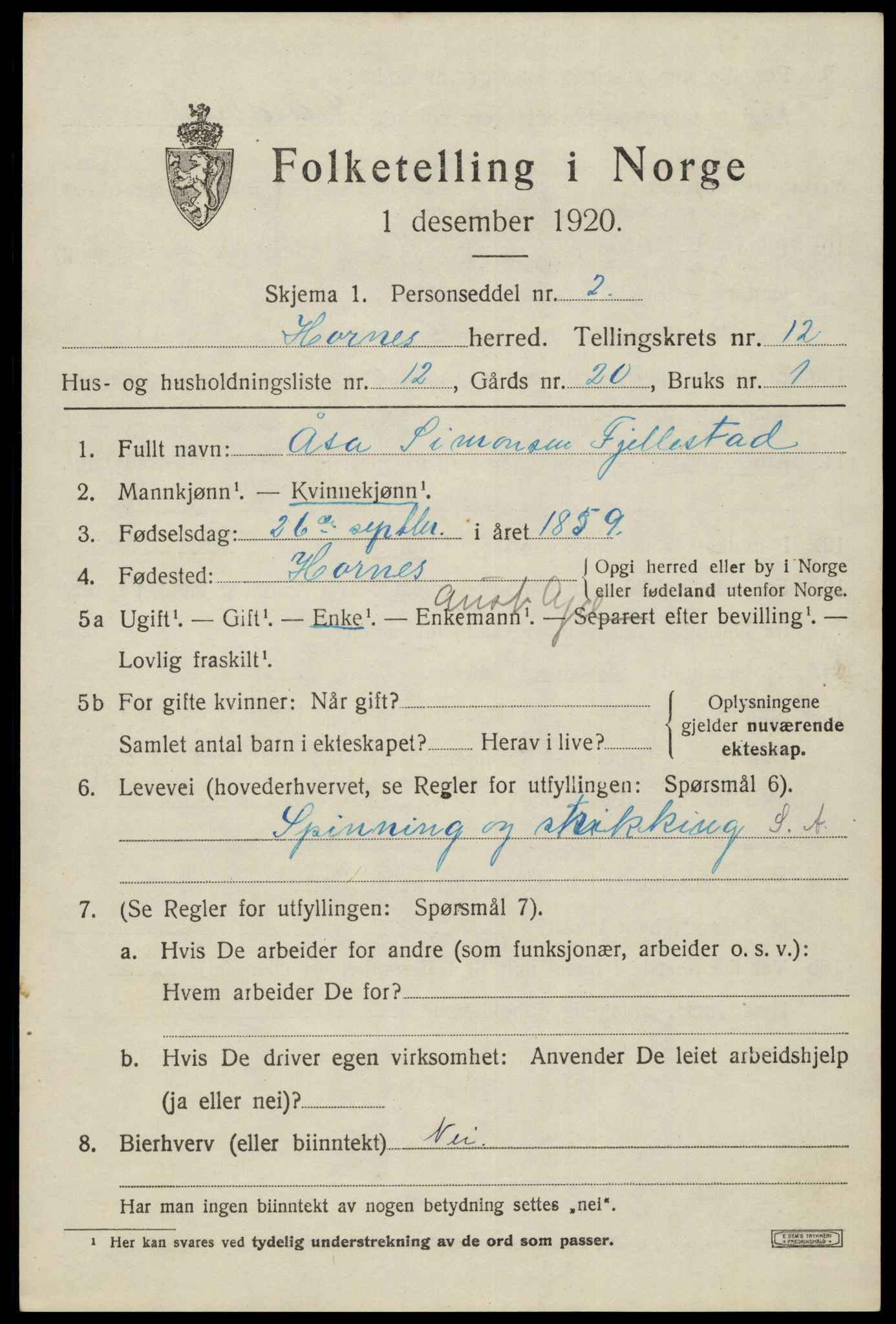 SAK, 1920 census for Hornnes, 1920, p. 3019