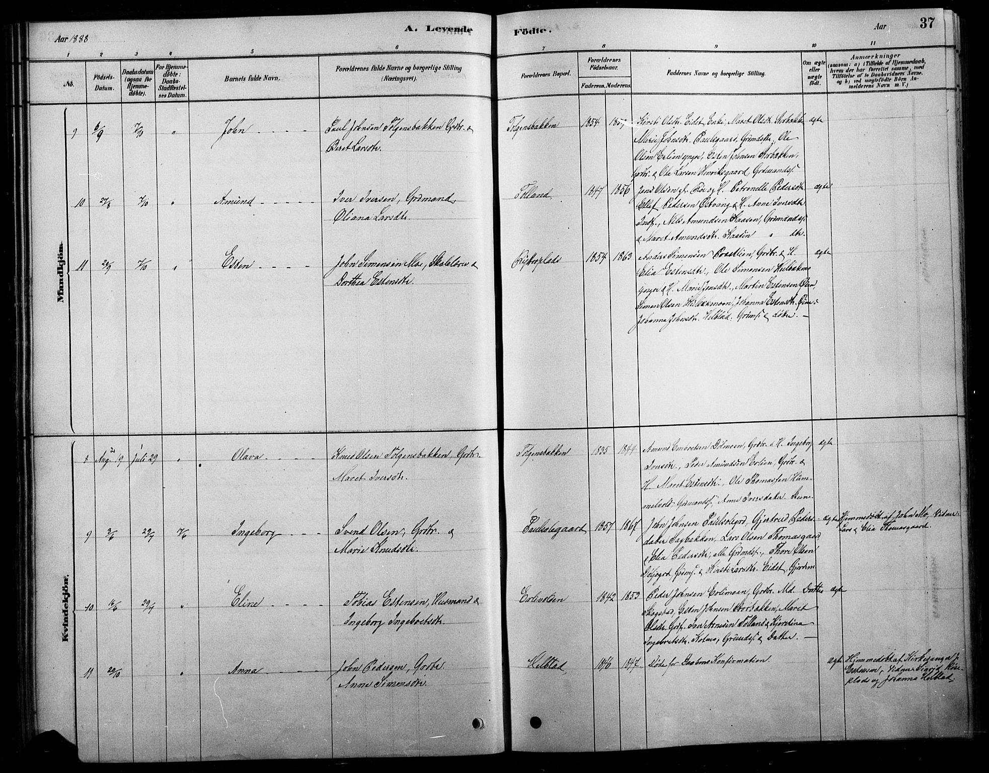 Tolga prestekontor, AV/SAH-PREST-062/L/L0007: Parish register (copy) no. 7, 1878-1919, p. 37