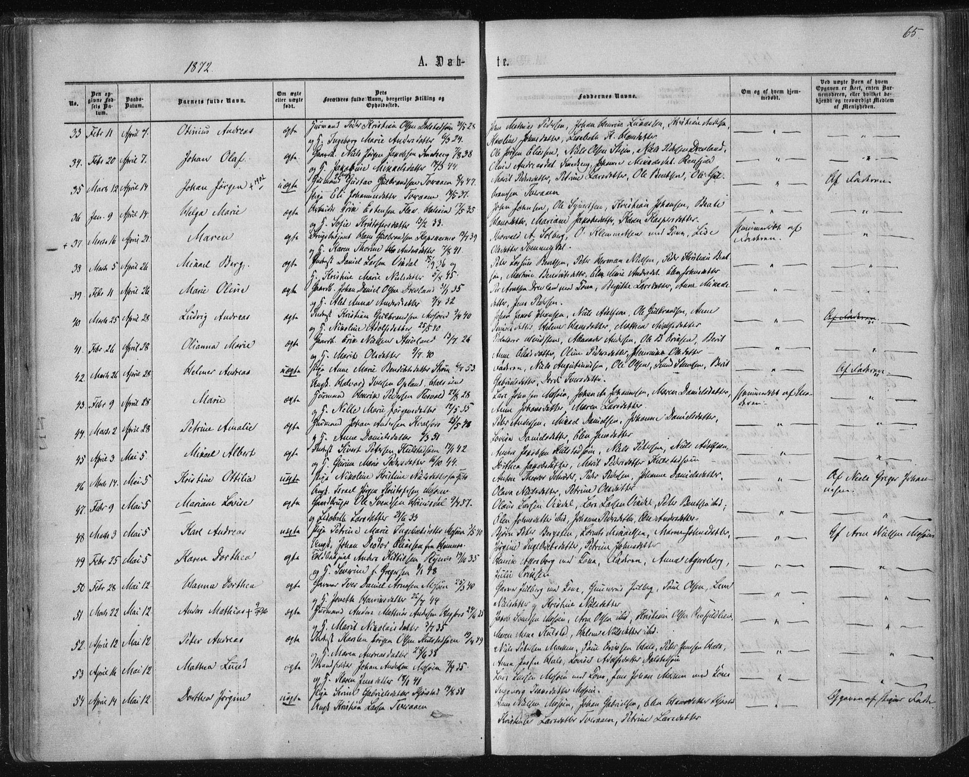 Ministerialprotokoller, klokkerbøker og fødselsregistre - Nordland, SAT/A-1459/820/L0294: Parish register (official) no. 820A15, 1866-1879, p. 65