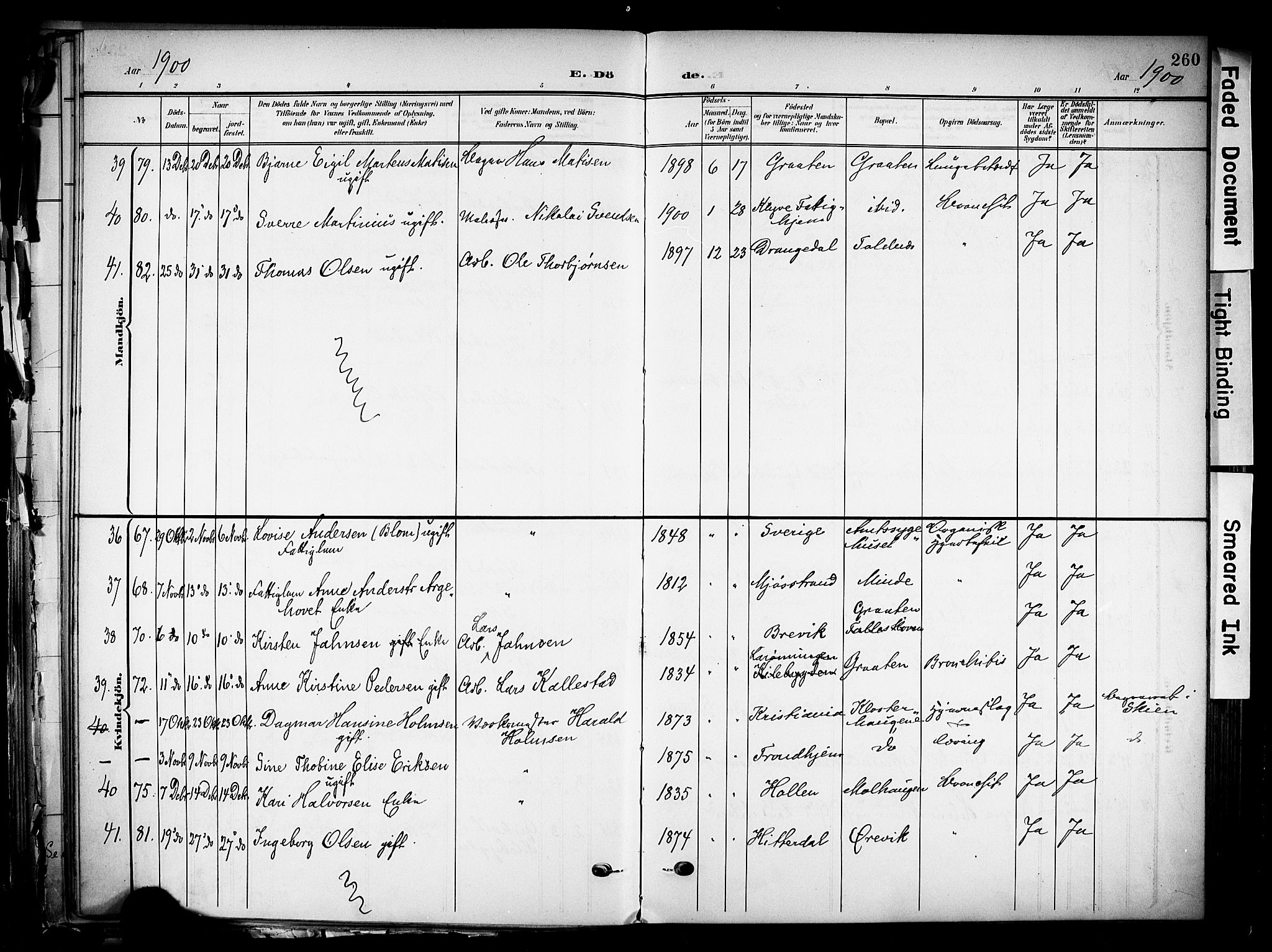 Solum kirkebøker, SAKO/A-306/F/Fa/L0011: Parish register (official) no. I 11, 1898-1909, p. 260