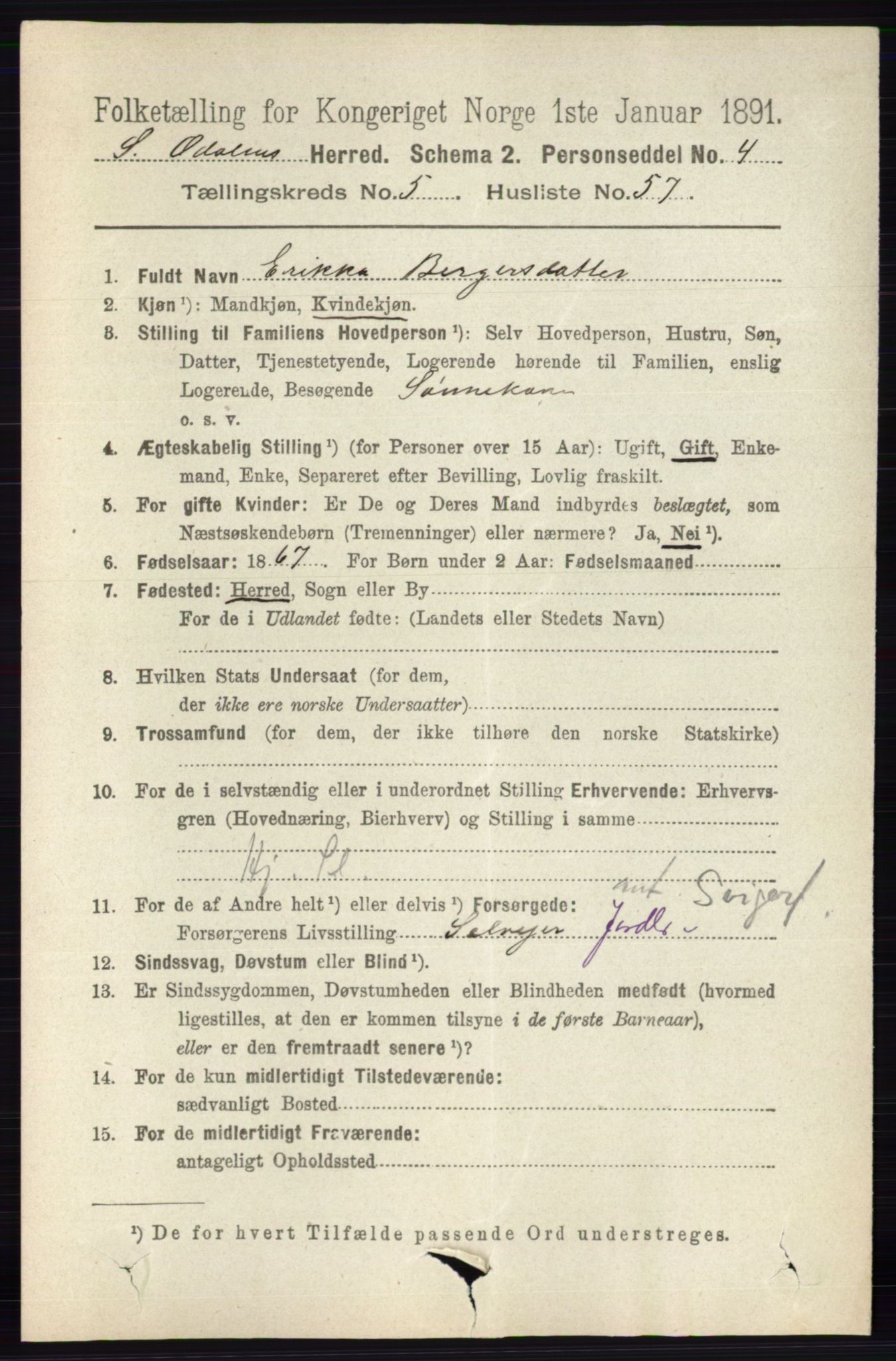 RA, 1891 census for 0419 Sør-Odal, 1891, p. 2681