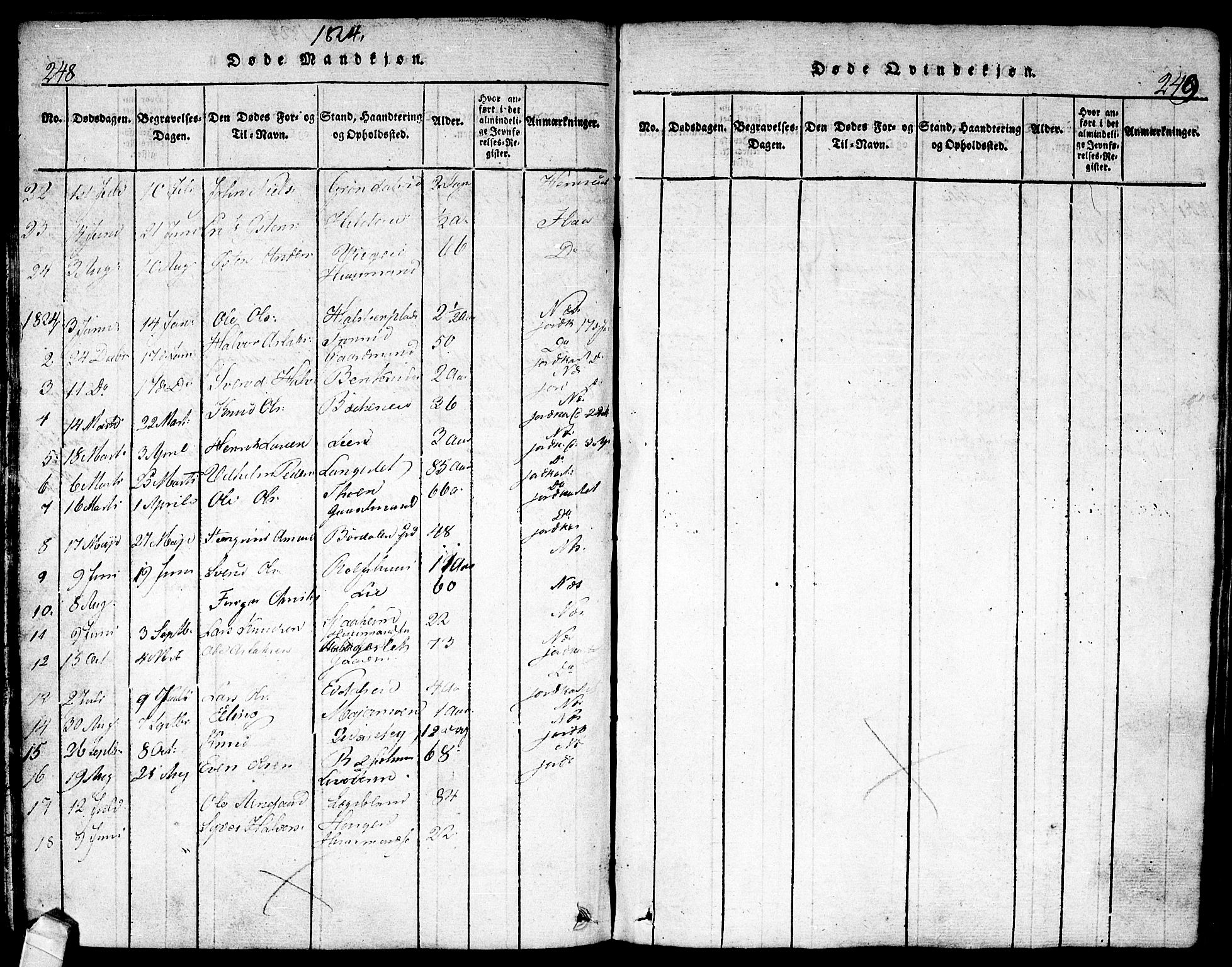 Nes kirkebøker, SAKO/A-236/F/Fa/L0007: Parish register (official) no. 7, 1815-1823, p. 248-249