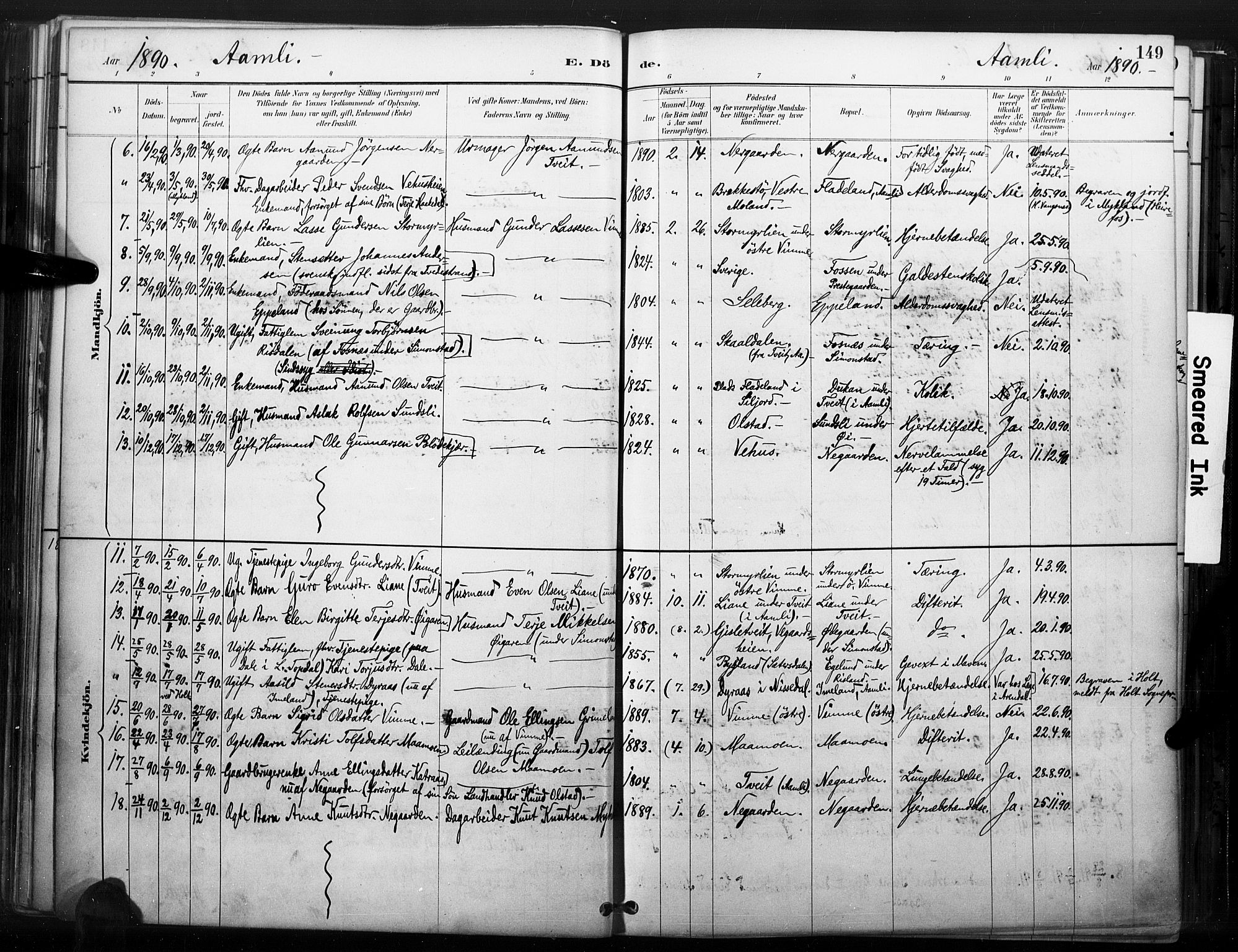 Åmli sokneprestkontor, SAK/1111-0050/F/Fa/Fac/L0010: Parish register (official) no. A 10 /1, 1885-1899, p. 149