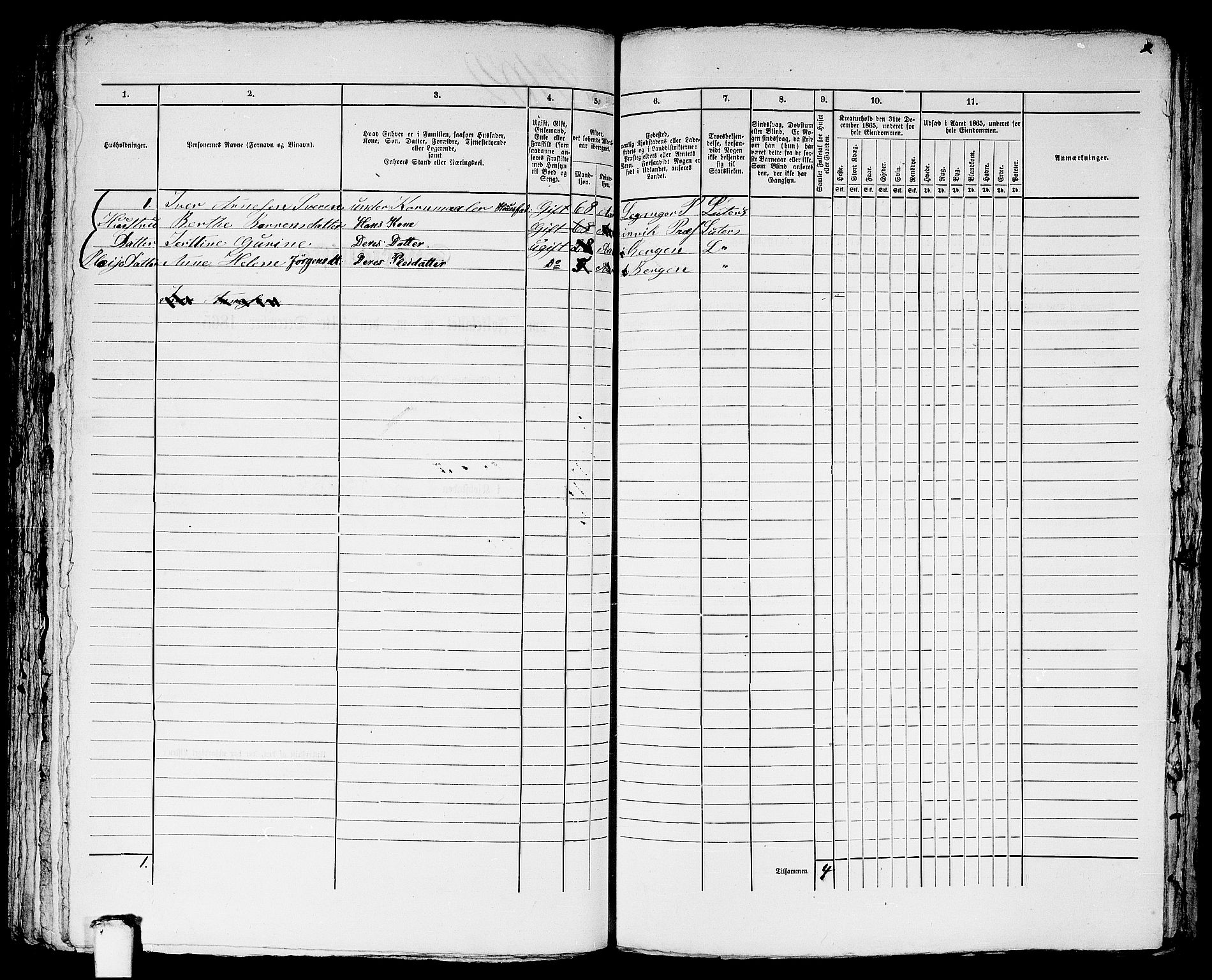 RA, 1865 census for Bergen, 1865, p. 4297