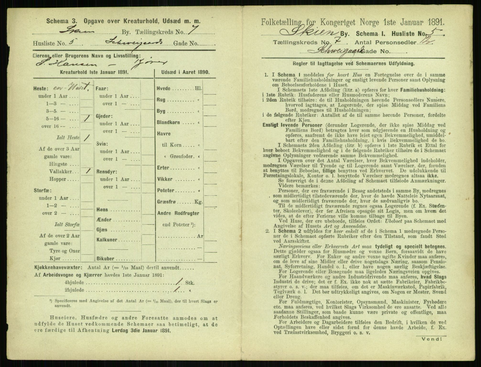 RA, 1891 census for 0806 Skien, 1891, p. 316