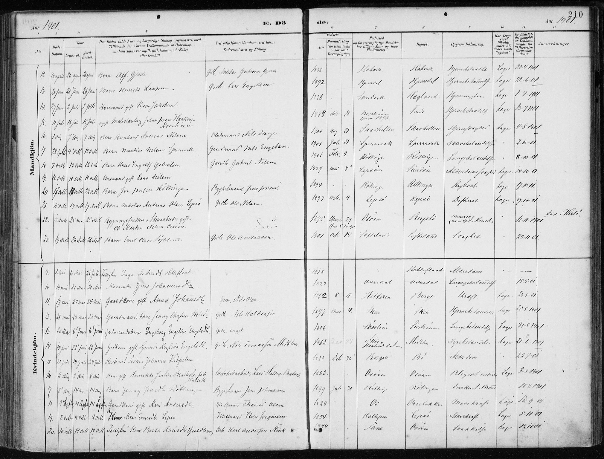 Os sokneprestembete, AV/SAB-A-99929: Parish register (official) no. B 1, 1885-1902, p. 210