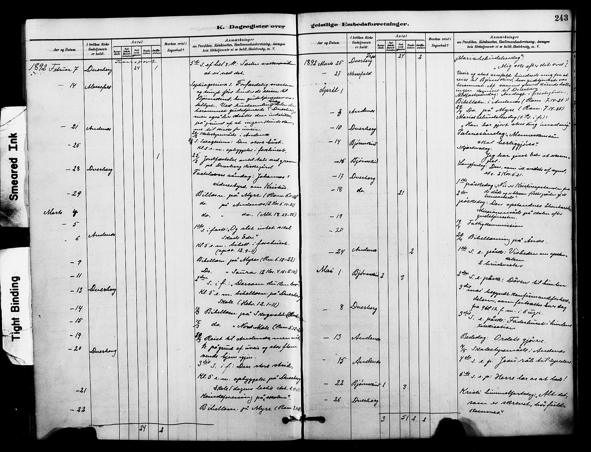 Ministerialprotokoller, klokkerbøker og fødselsregistre - Nordland, AV/SAT-A-1459/897/L1399: Parish register (official) no. 897C06, 1881-1896, p. 243