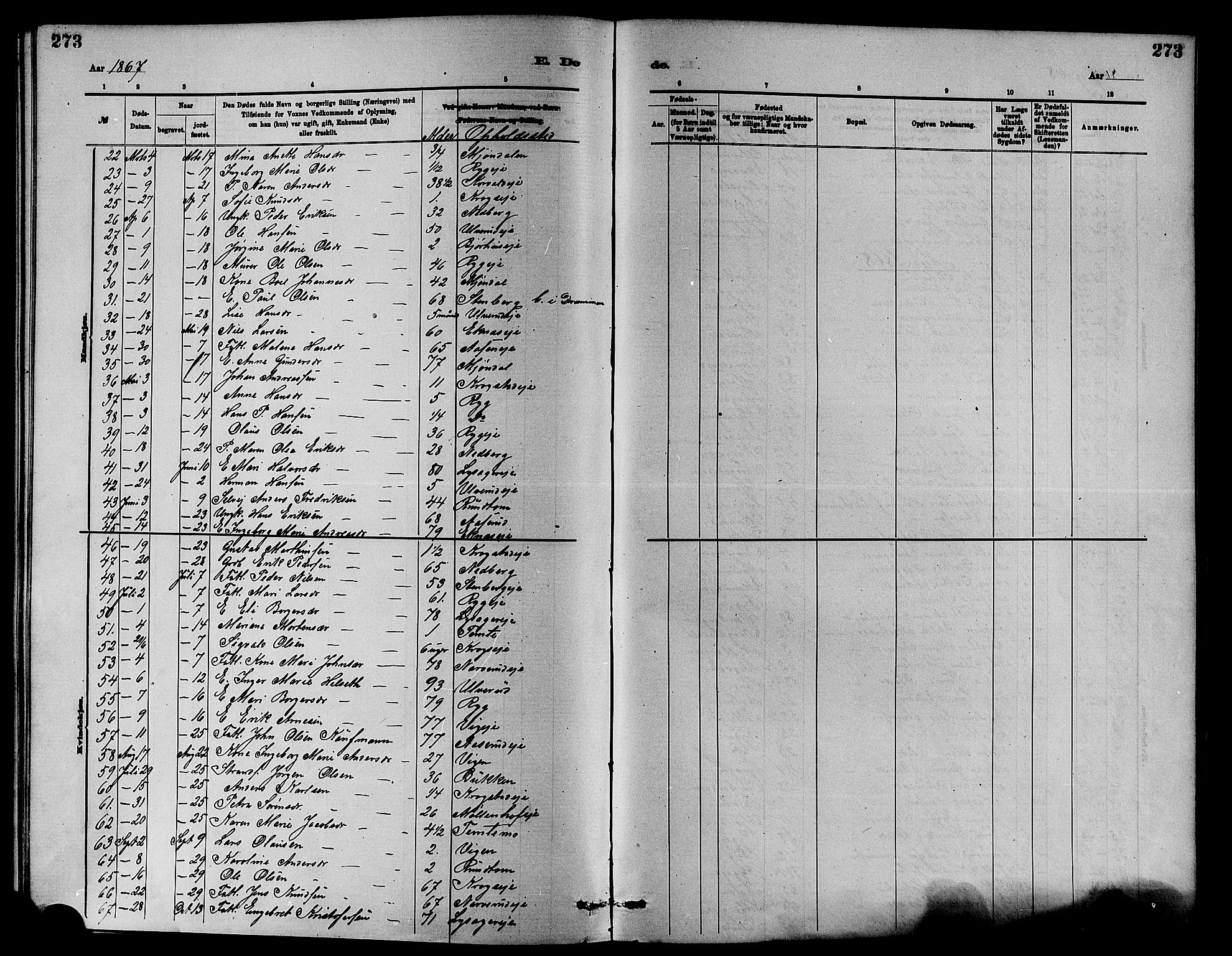 Nedre Eiker kirkebøker, SAKO/A-612/F/Fa/L0001: Parish register (official) no. 1, 1853-1877, p. 273