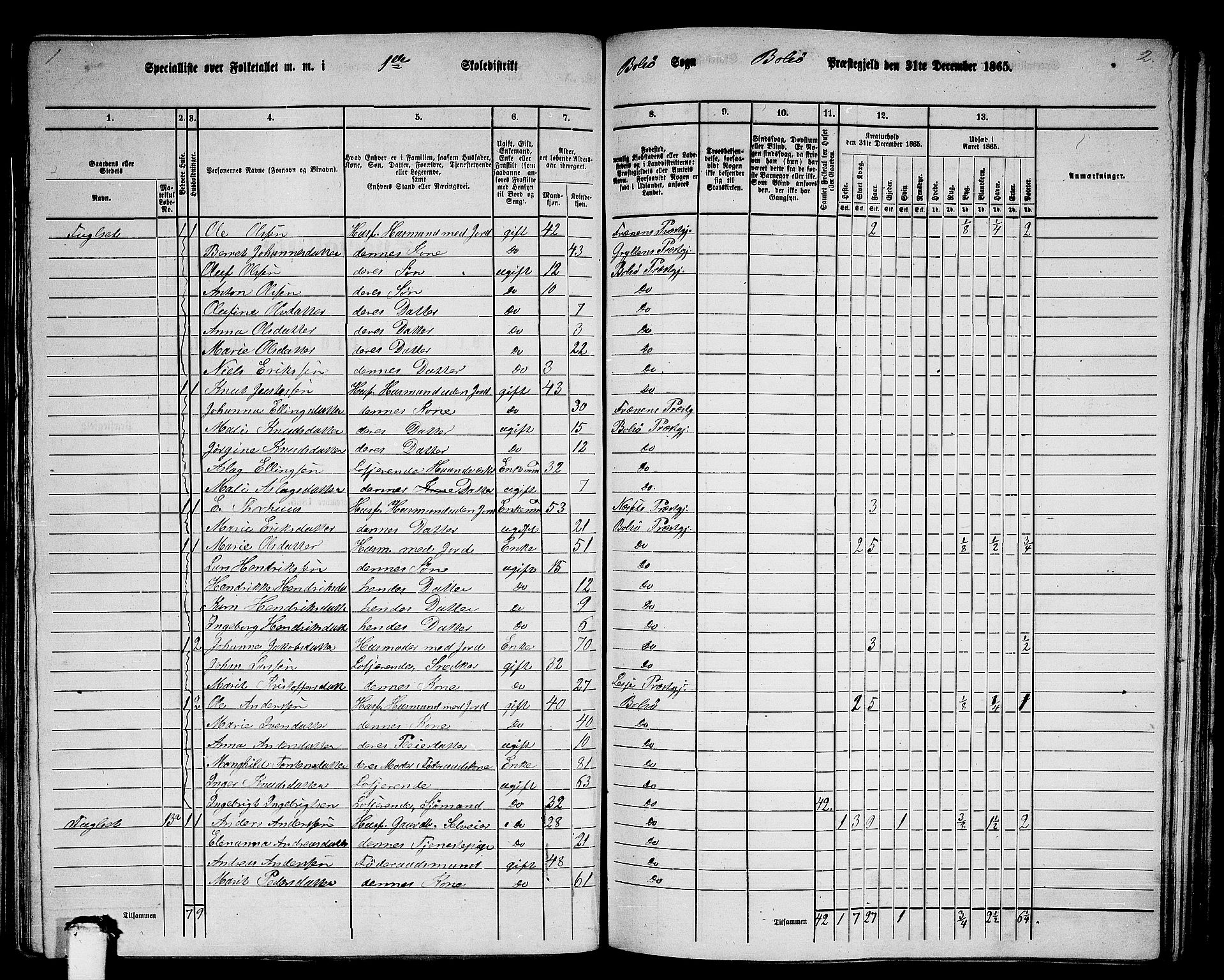 RA, 1865 census for Bolsøy, 1865, p. 21