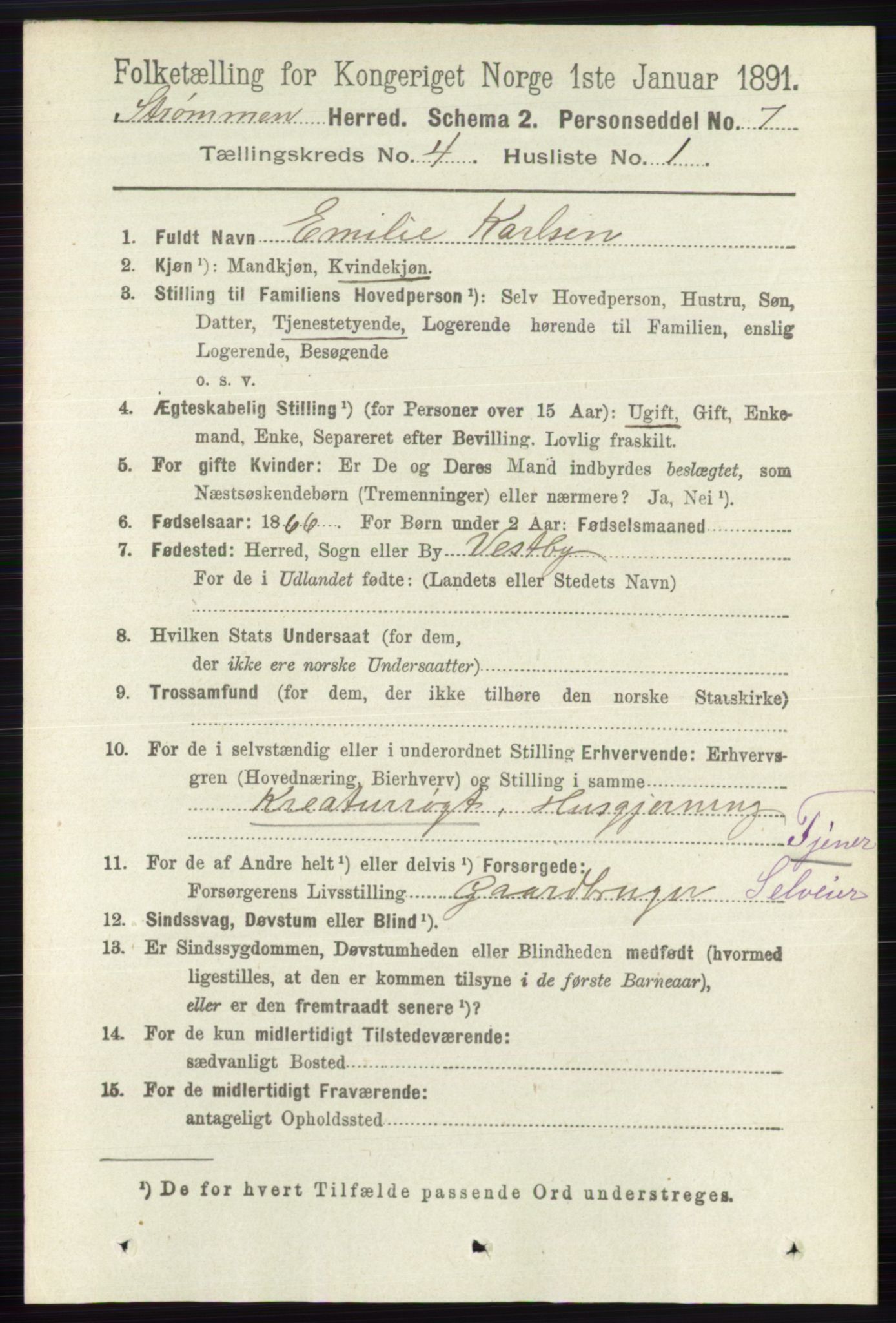 RA, 1891 census for 0711 Strømm, 1891, p. 1587