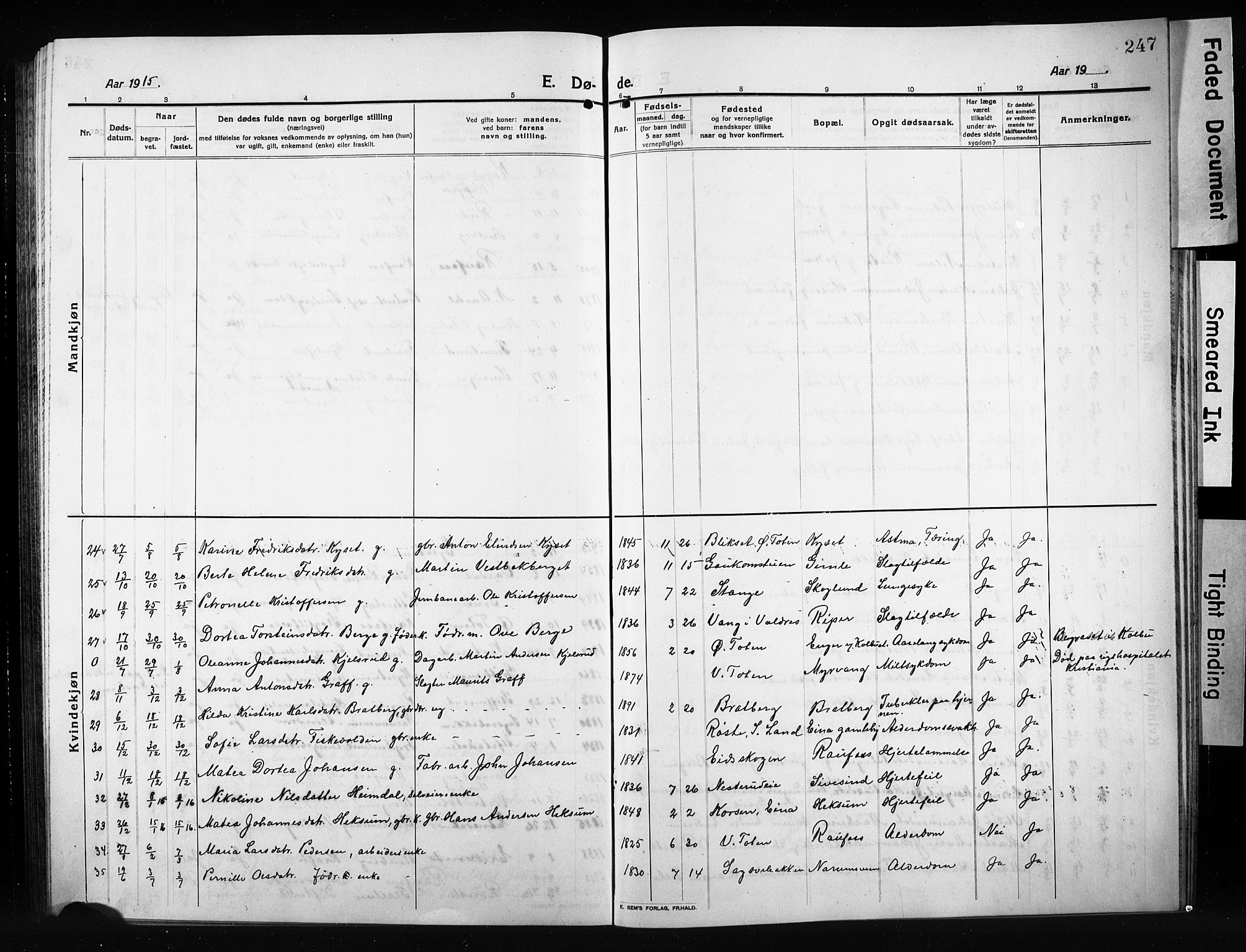 Vestre Toten prestekontor, SAH/PREST-108/H/Ha/Hab/L0012: Parish register (copy) no. 12, 1909-1928, p. 247