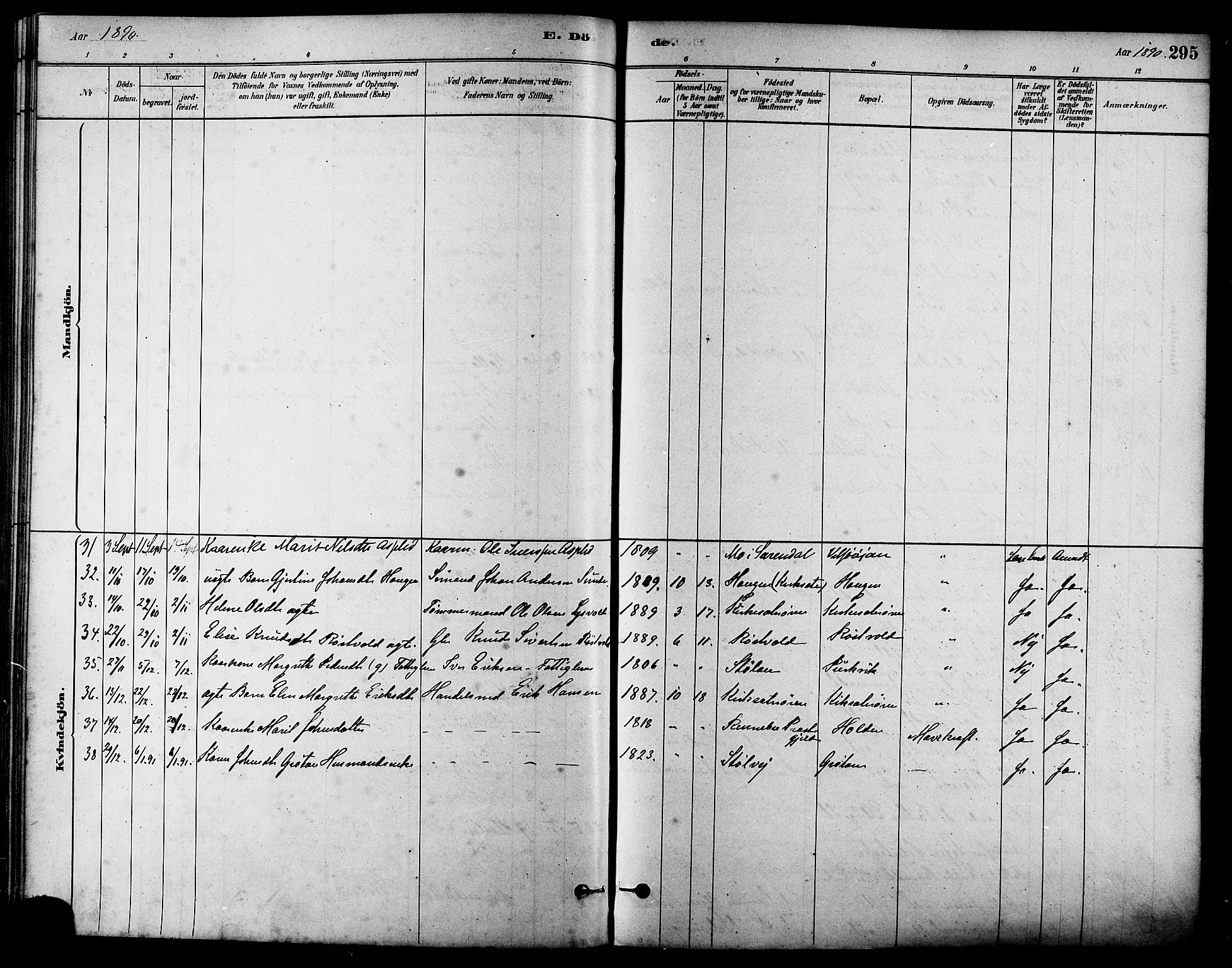 Ministerialprotokoller, klokkerbøker og fødselsregistre - Sør-Trøndelag, SAT/A-1456/630/L0496: Parish register (official) no. 630A09, 1879-1895, p. 295