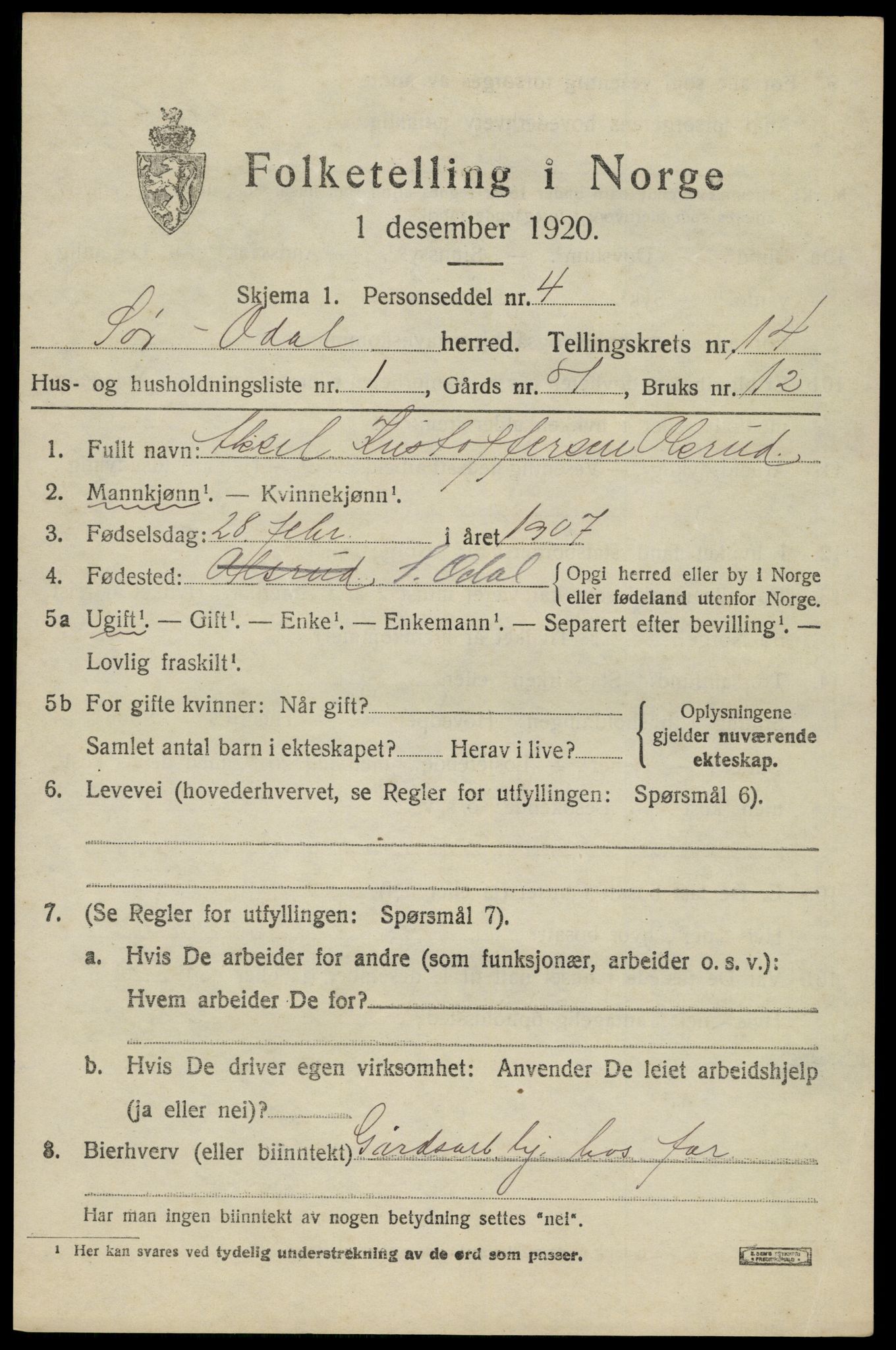 SAH, 1920 census for Sør-Odal, 1920, p. 13921