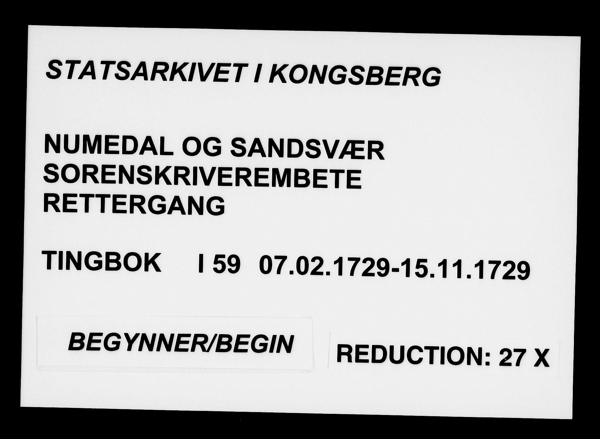 Numedal og Sandsvær sorenskriveri, AV/SAKO-A-128/F/Fa/Faa/L0059: Tingbøker, 1729