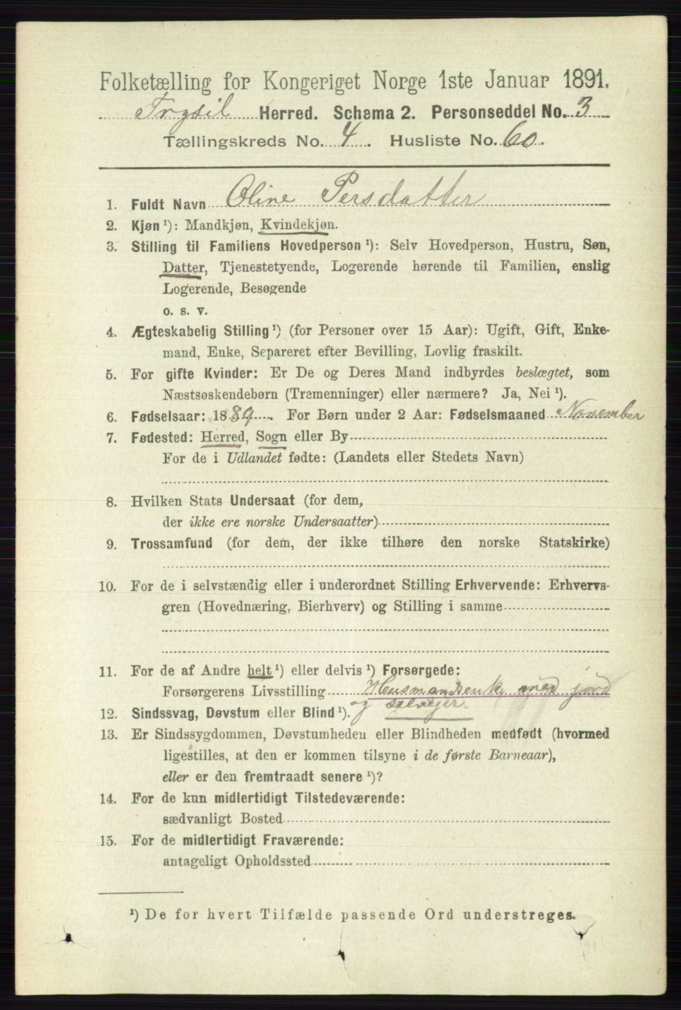 RA, 1891 census for 0428 Trysil, 1891, p. 2225