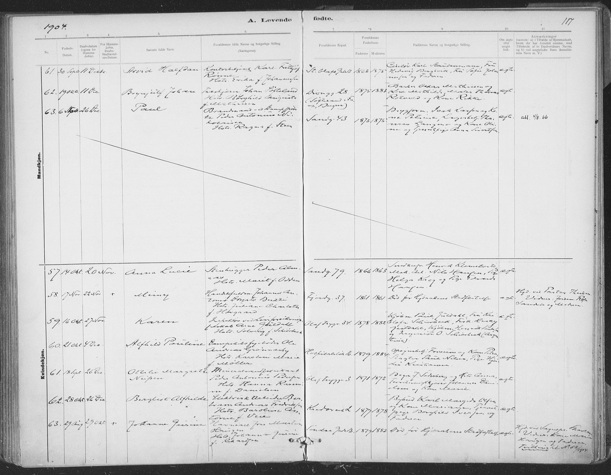 Ministerialprotokoller, klokkerbøker og fødselsregistre - Sør-Trøndelag, SAT/A-1456/602/L0122: Parish register (official) no. 602A20, 1892-1908, p. 117