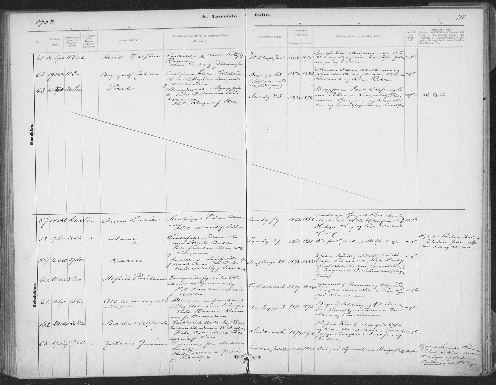 Ministerialprotokoller, klokkerbøker og fødselsregistre - Sør-Trøndelag, AV/SAT-A-1456/602/L0122: Parish register (official) no. 602A20, 1892-1908, p. 117