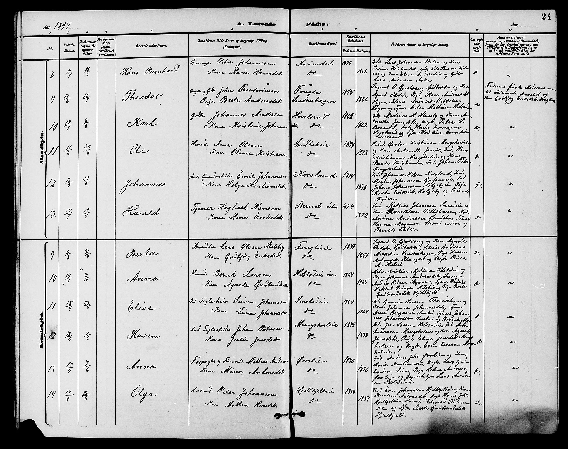 Nes prestekontor, Hedmark, AV/SAH-PREST-020/L/La/L0007: Parish register (copy) no. 7, 1892-1912, p. 24