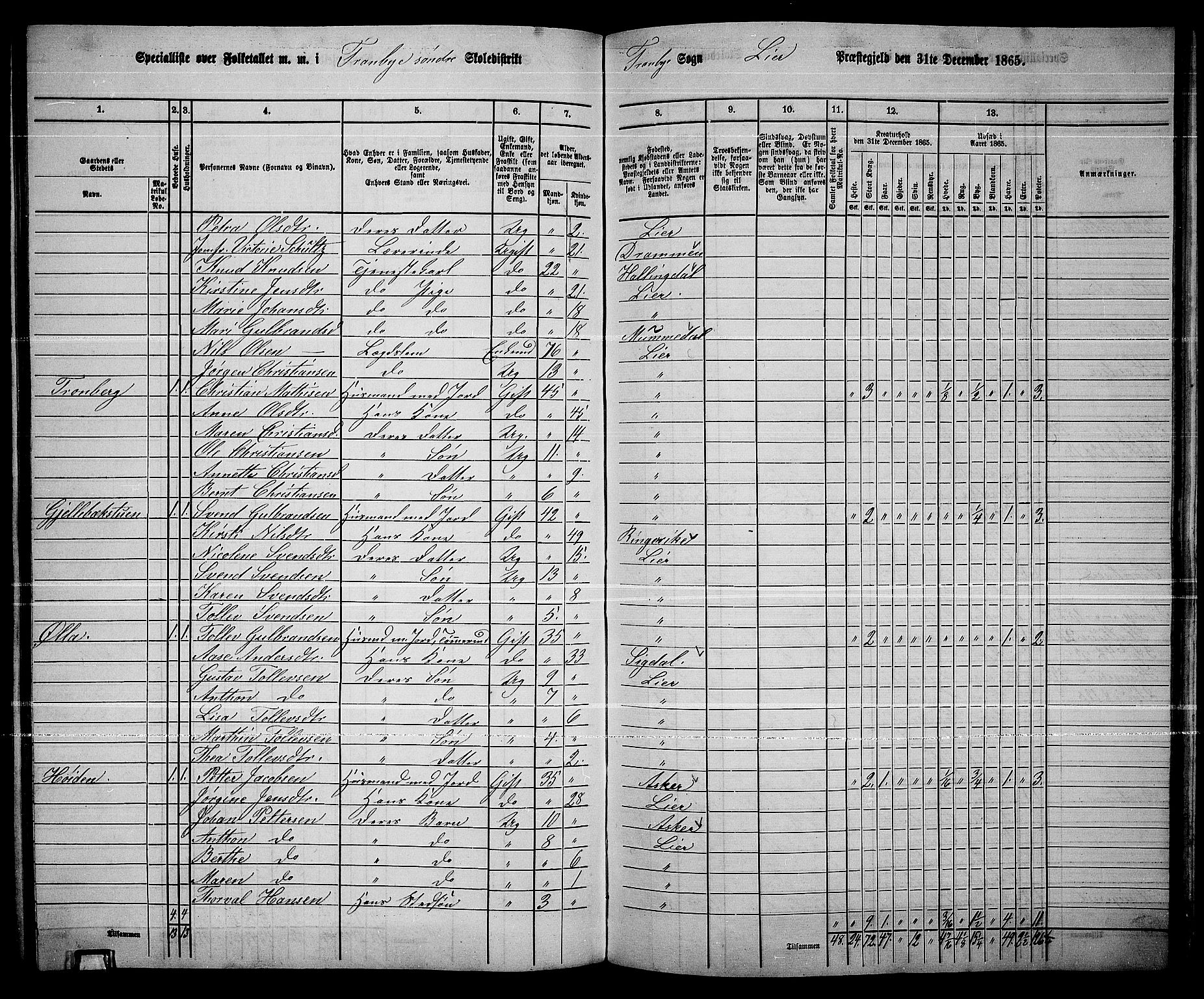 RA, 1865 census for Lier, 1865, p. 186