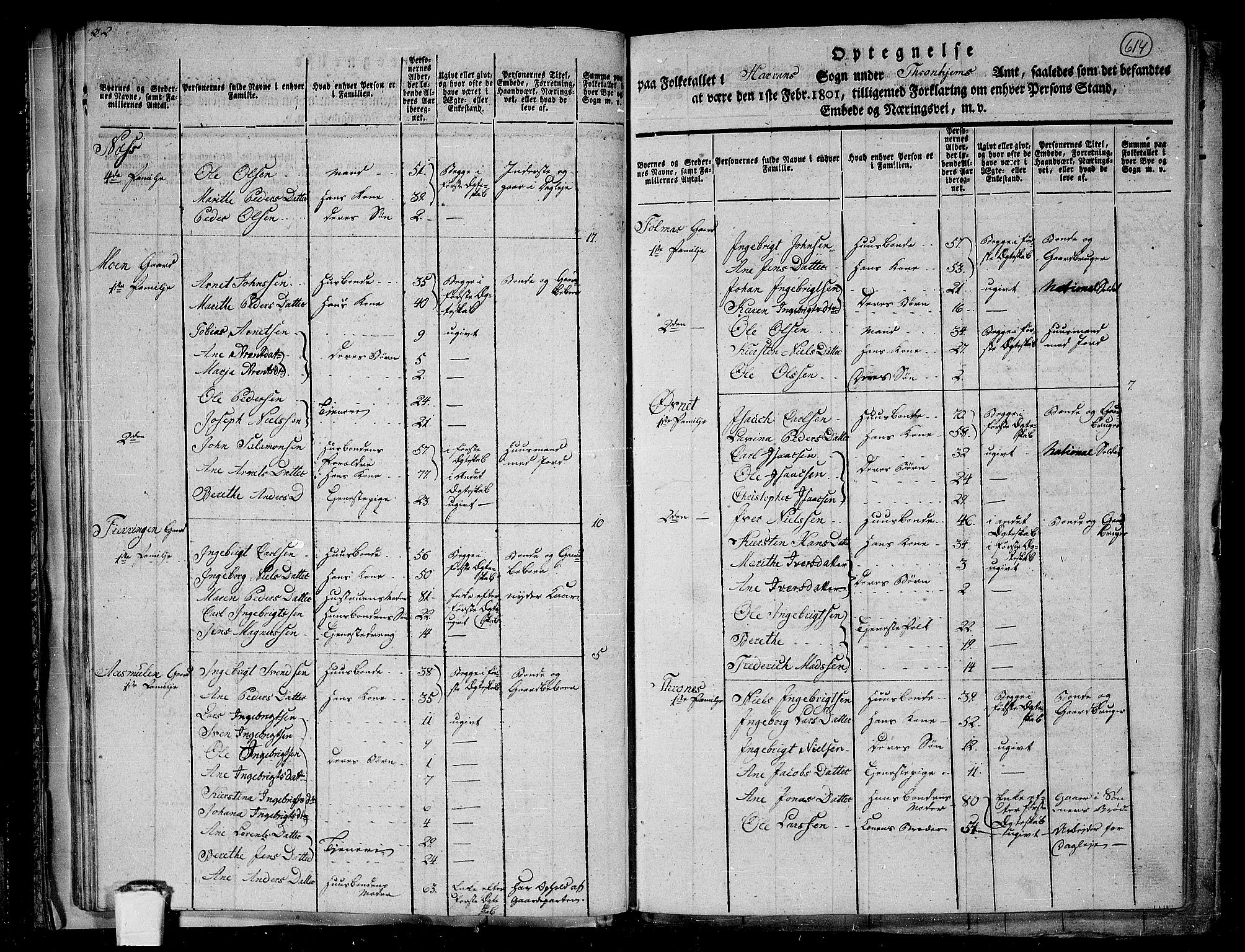 RA, 1801 census for 1744P Overhalla, 1801, p. 613b-614a