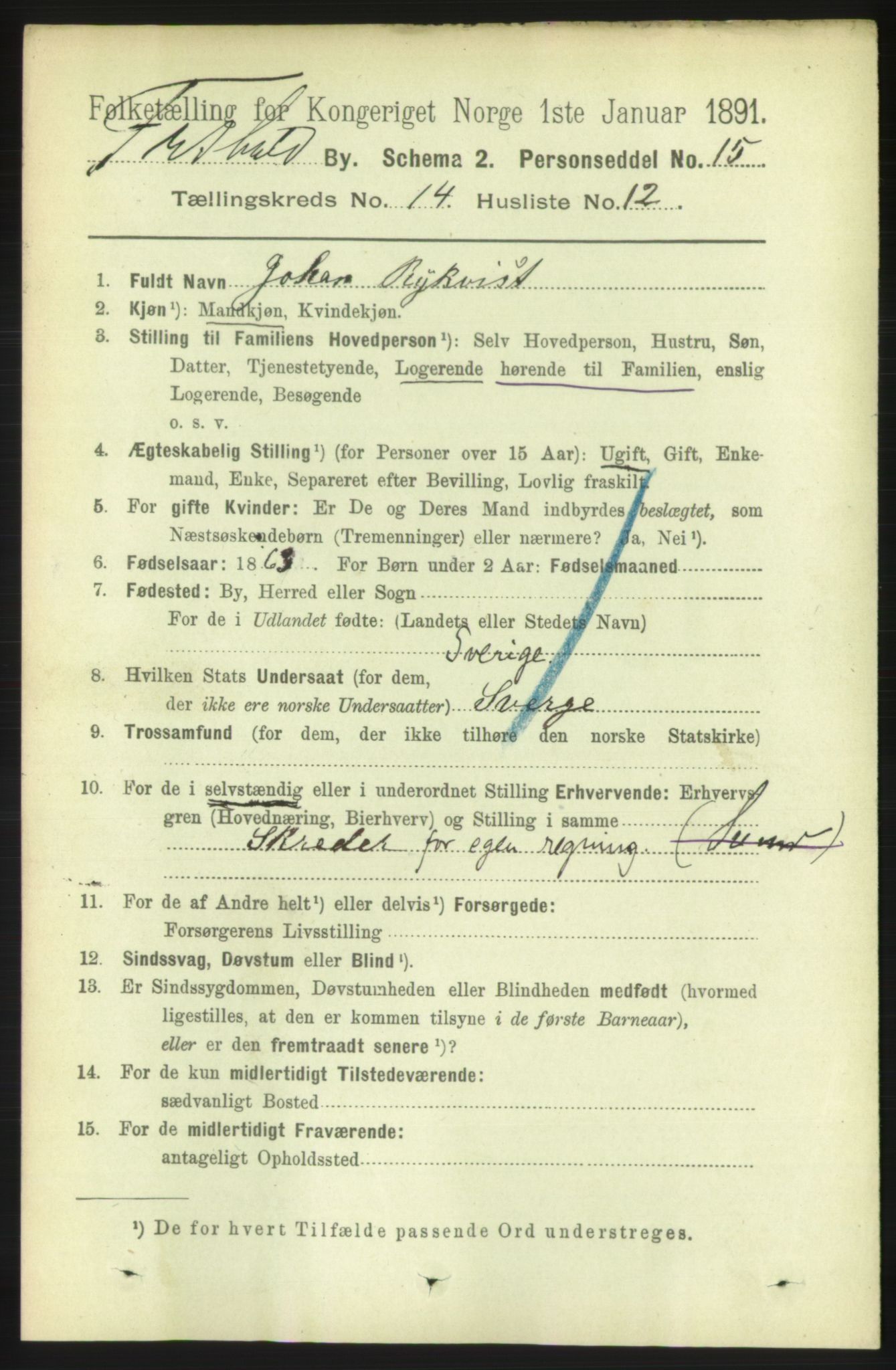 RA, 1891 census for 0101 Fredrikshald, 1891, p. 9205