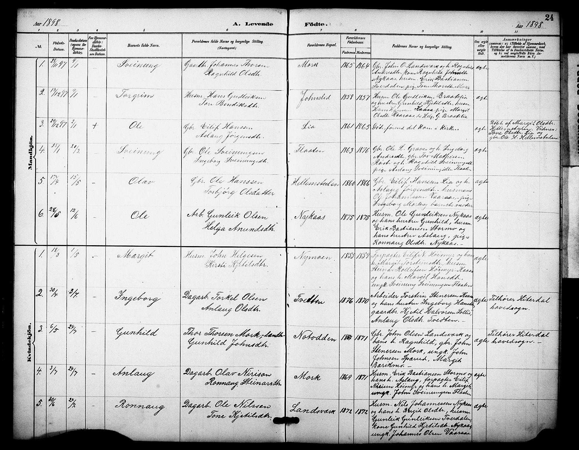 Heddal kirkebøker, SAKO/A-268/F/Fb/L0001: Parish register (official) no. II 1, 1884-1910, p. 24