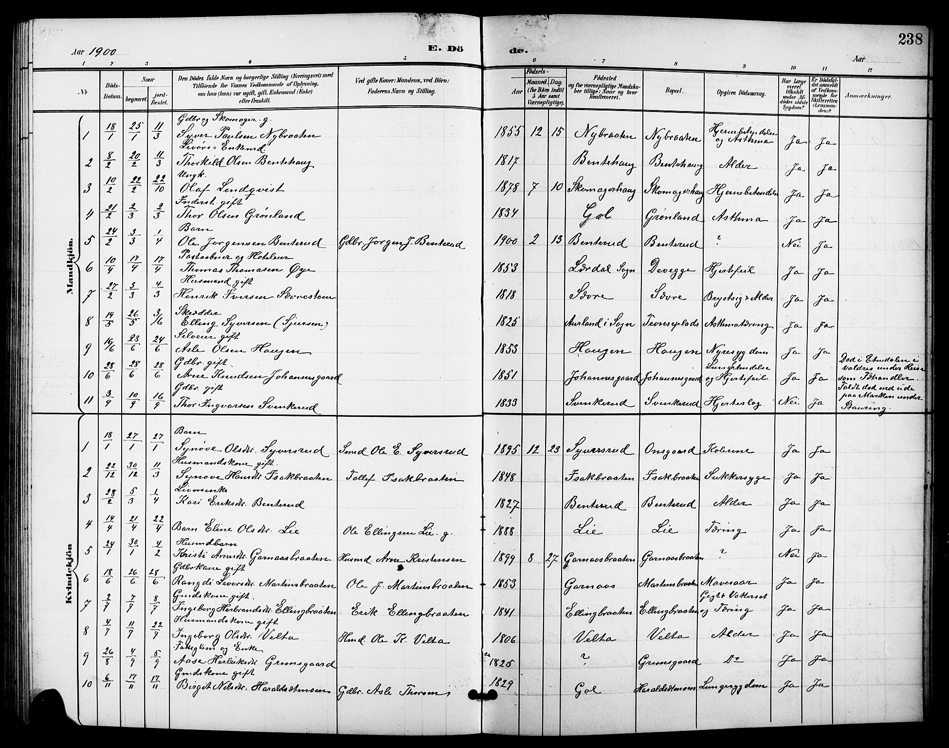 Nes kirkebøker, SAKO/A-236/G/Ga/L0004: Parish register (copy) no. I 4, 1900-1925, p. 238