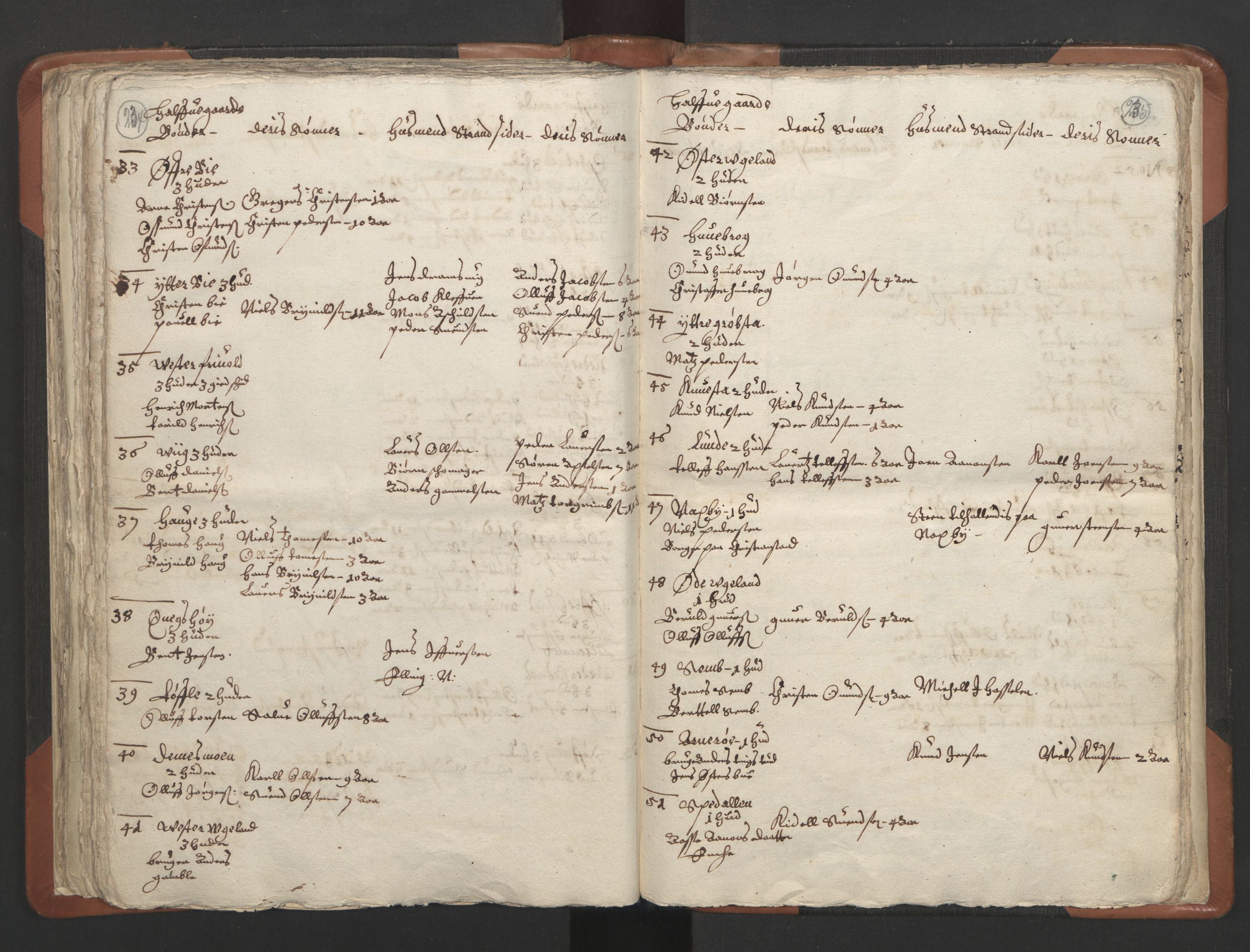RA, Vicar's Census 1664-1666, no. 13: Nedenes deanery, 1664-1666, p. 234-235