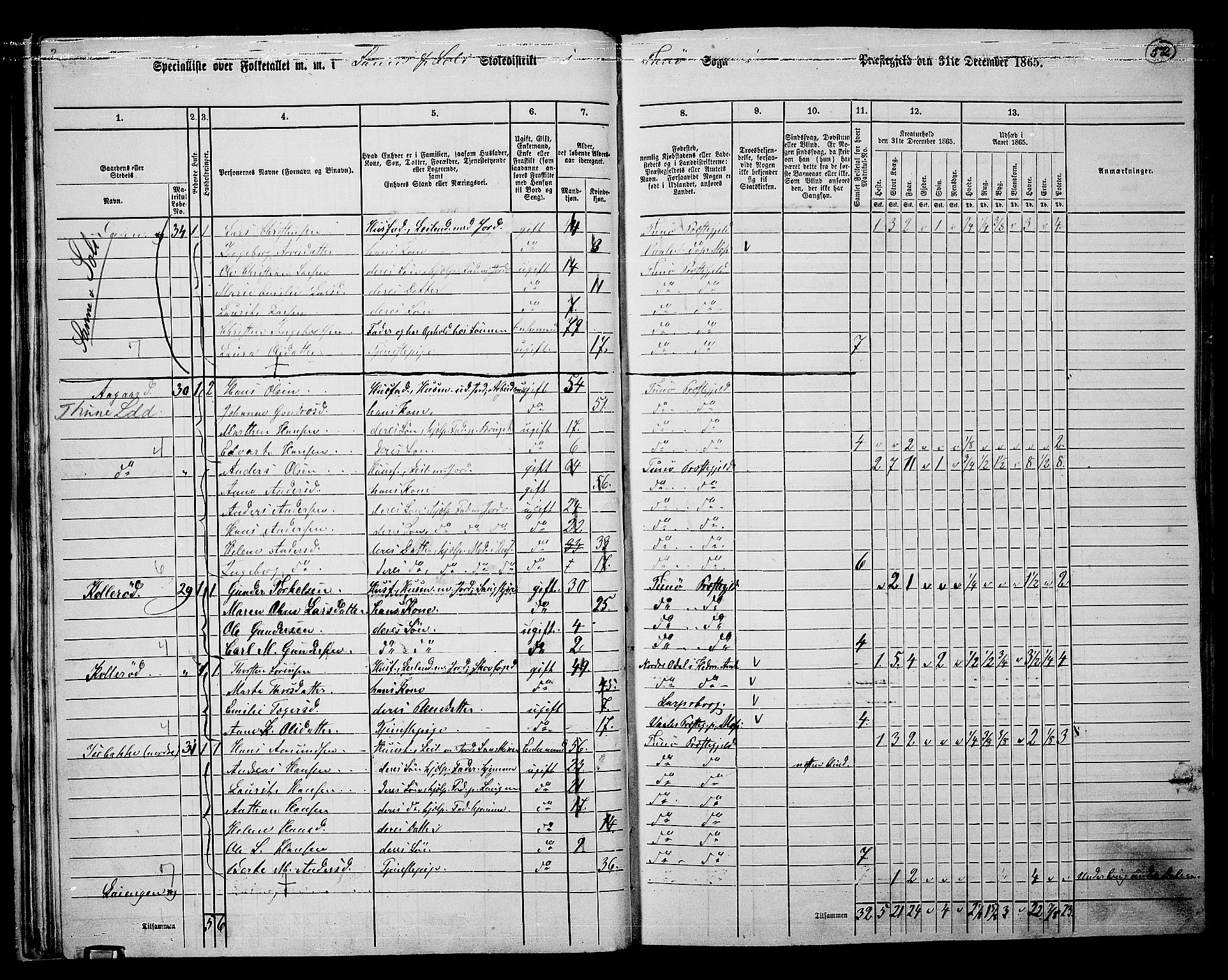 RA, 1865 census for Tune, 1865, p. 48