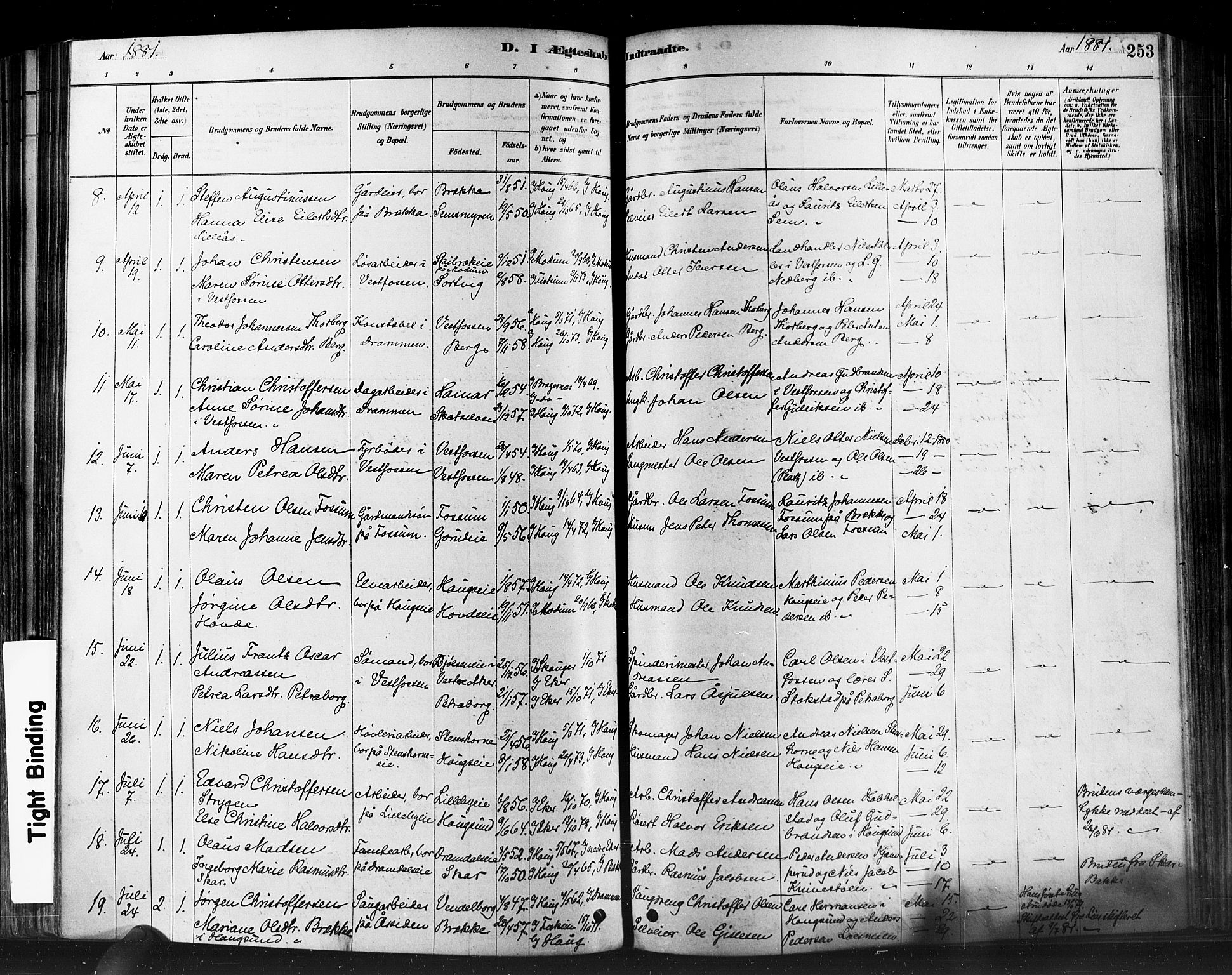 Eiker kirkebøker, AV/SAKO-A-4/F/Fb/L0001: Parish register (official) no. II 1, 1878-1888, p. 253