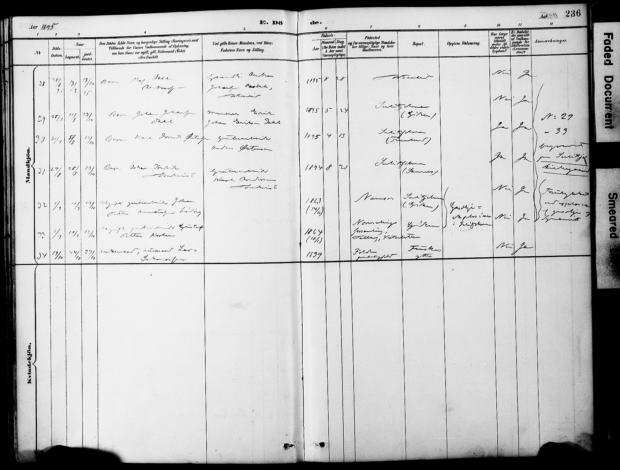 Ministerialprotokoller, klokkerbøker og fødselsregistre - Nordland, AV/SAT-A-1459/849/L0690: Parish register (official) no. 849A02, 1890-1897, p. 236