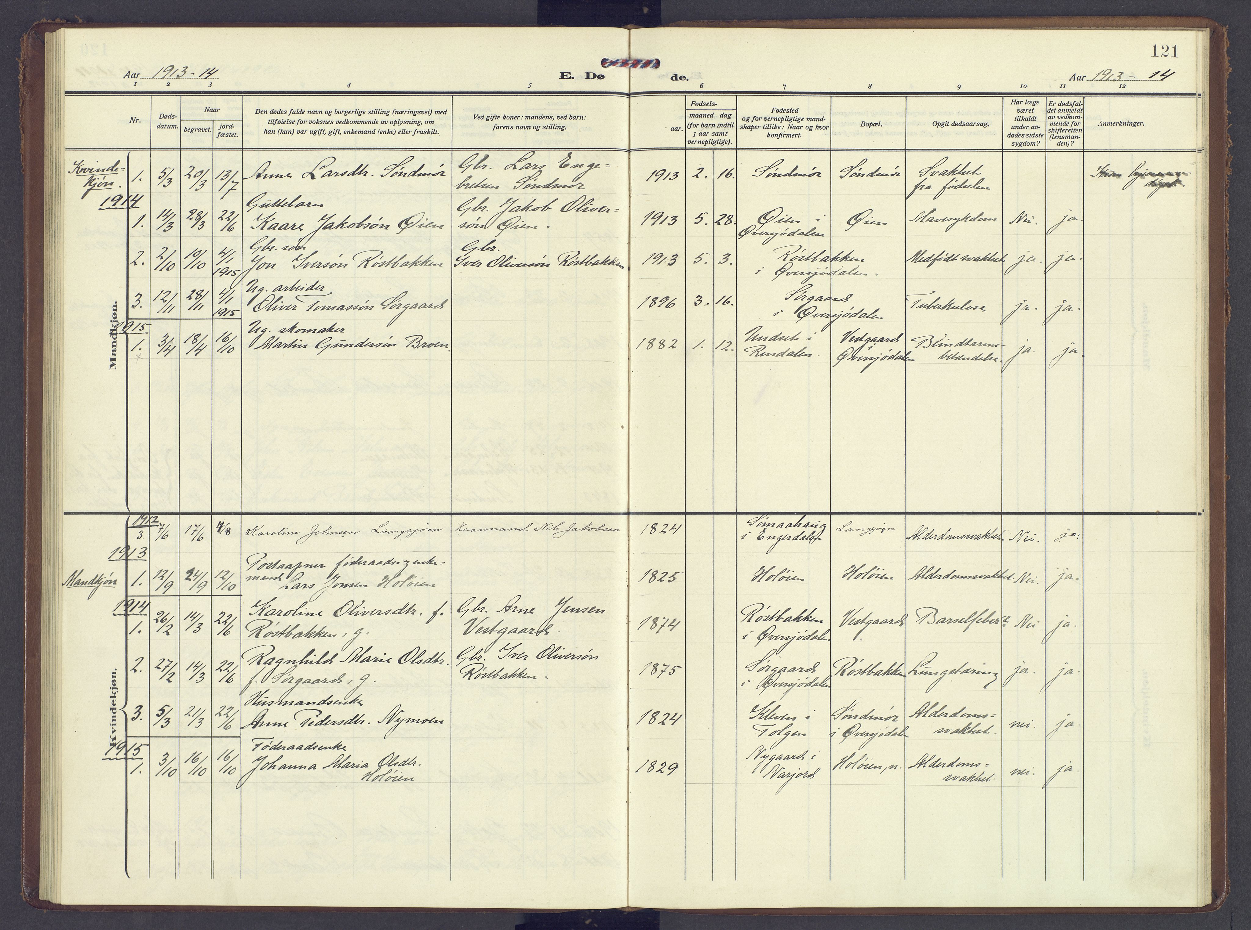 Tolga prestekontor, SAH/PREST-062/K/L0013: Parish register (official) no. 13, 1908-1915, p. 121