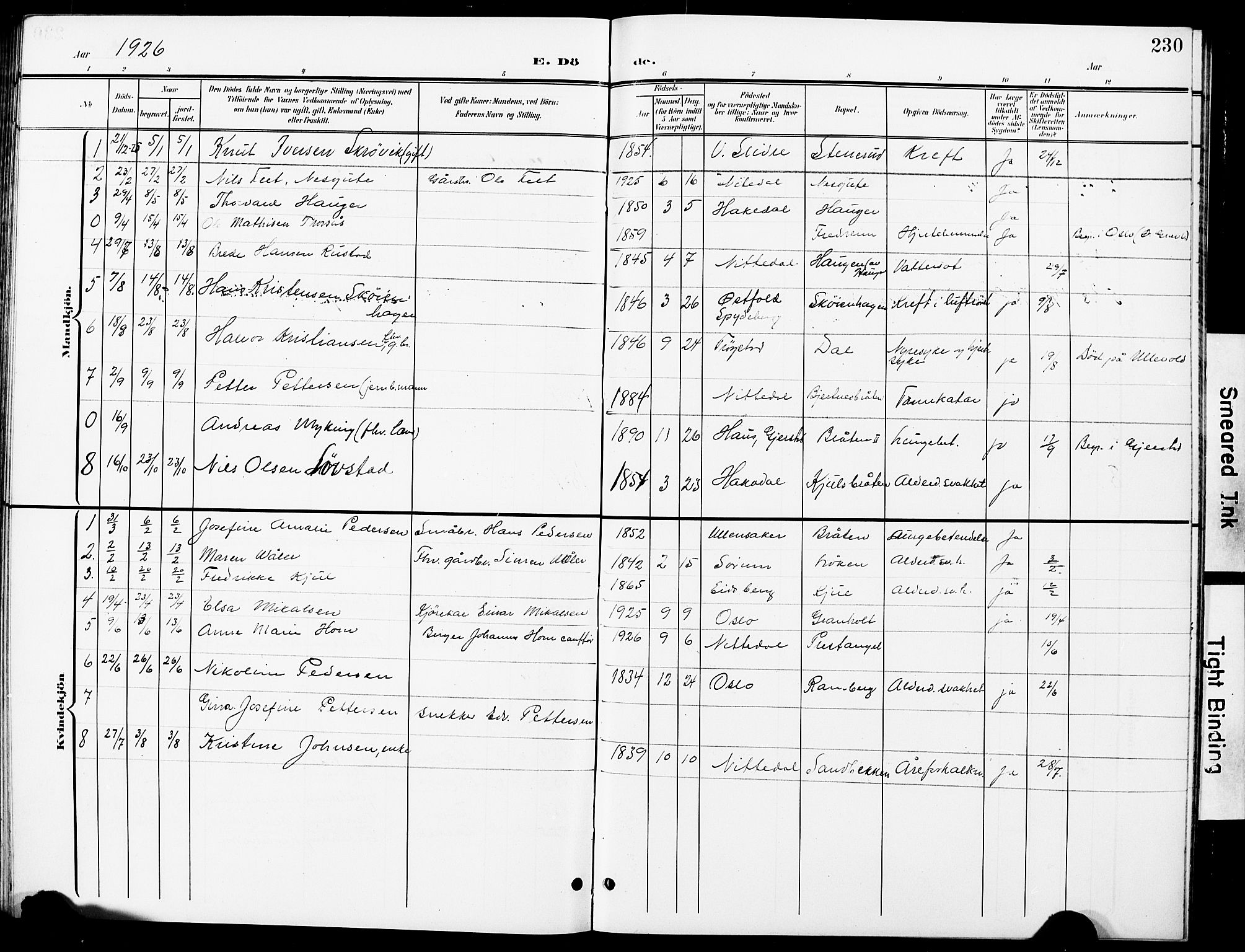 Nittedal prestekontor Kirkebøker, SAO/A-10365a/G/Ga/L0003: Parish register (copy) no. I 3, 1902-1929, p. 230