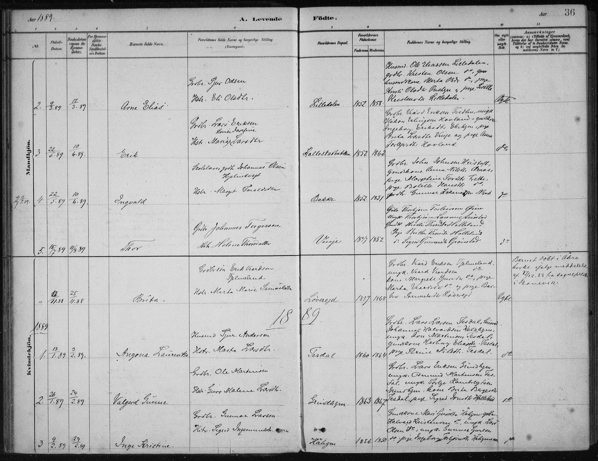 Etne sokneprestembete, AV/SAB-A-75001/H/Haa: Parish register (official) no. D  1, 1879-1919, p. 36