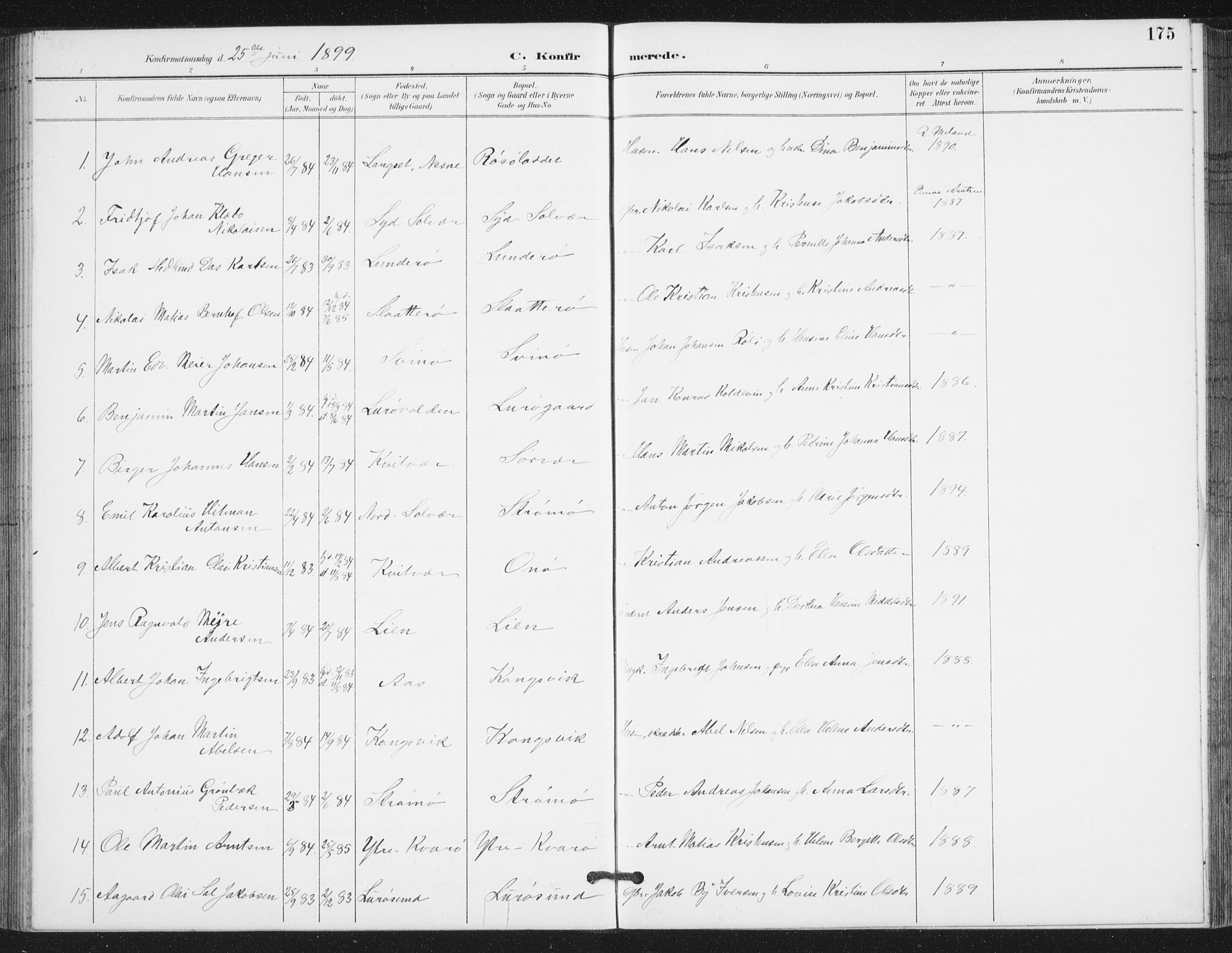Ministerialprotokoller, klokkerbøker og fødselsregistre - Nordland, SAT/A-1459/839/L0573: Parish register (copy) no. 839C03, 1892-1917, p. 175