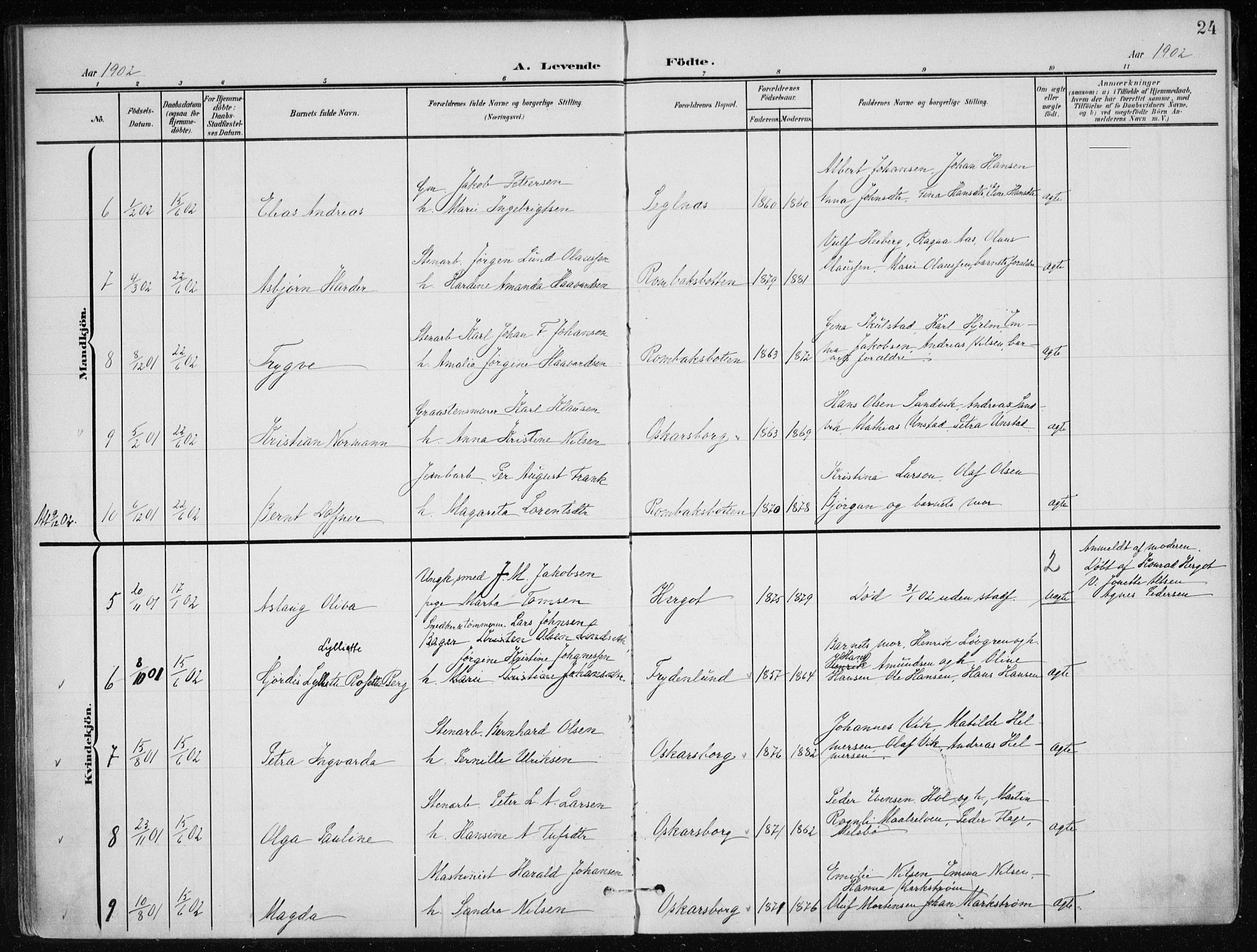 Ministerialprotokoller, klokkerbøker og fødselsregistre - Nordland, SAT/A-1459/866/L0941: Parish register (official) no. 866A04, 1901-1917, p. 24