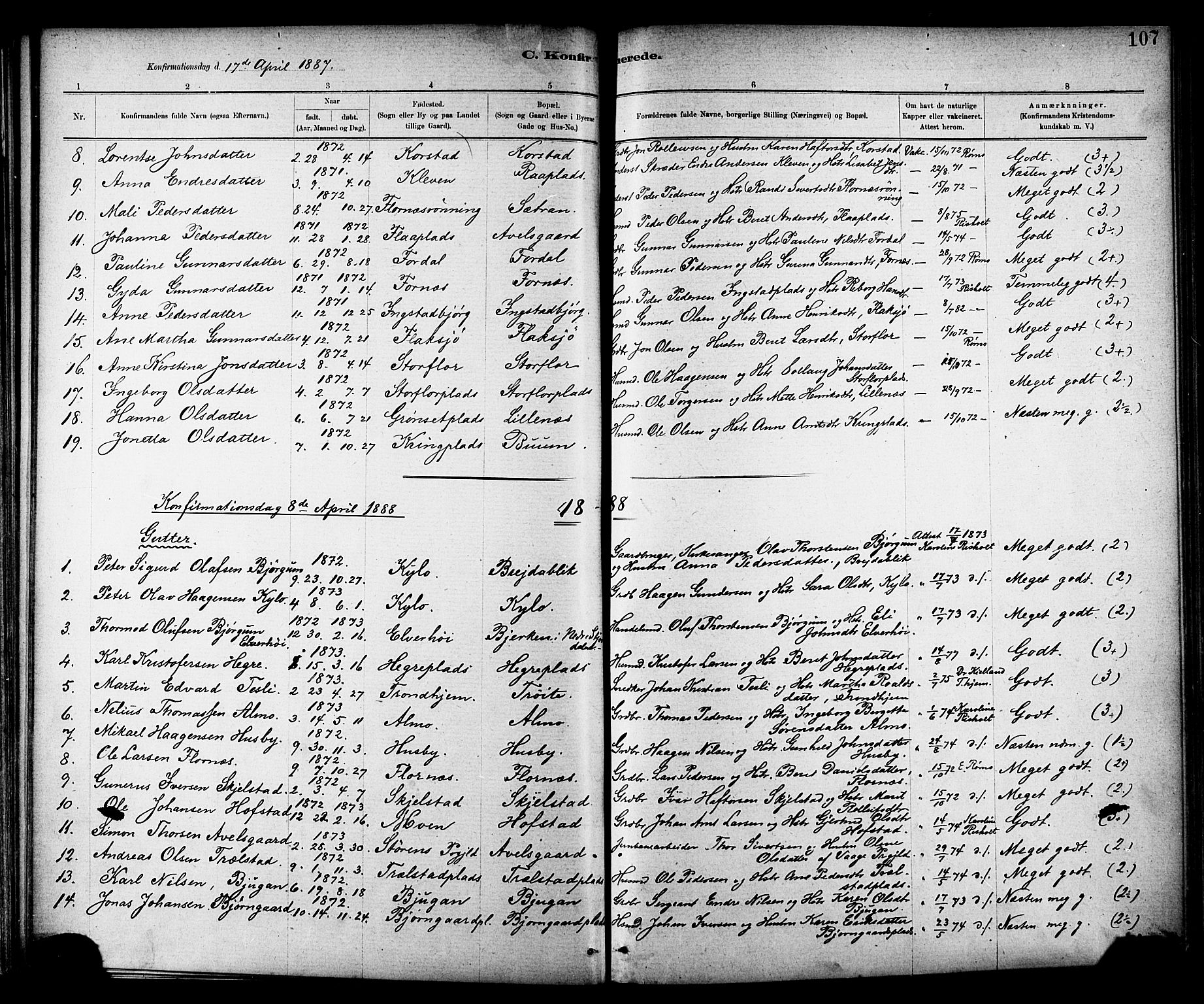 Ministerialprotokoller, klokkerbøker og fødselsregistre - Nord-Trøndelag, SAT/A-1458/703/L0030: Parish register (official) no. 703A03, 1880-1892, p. 107