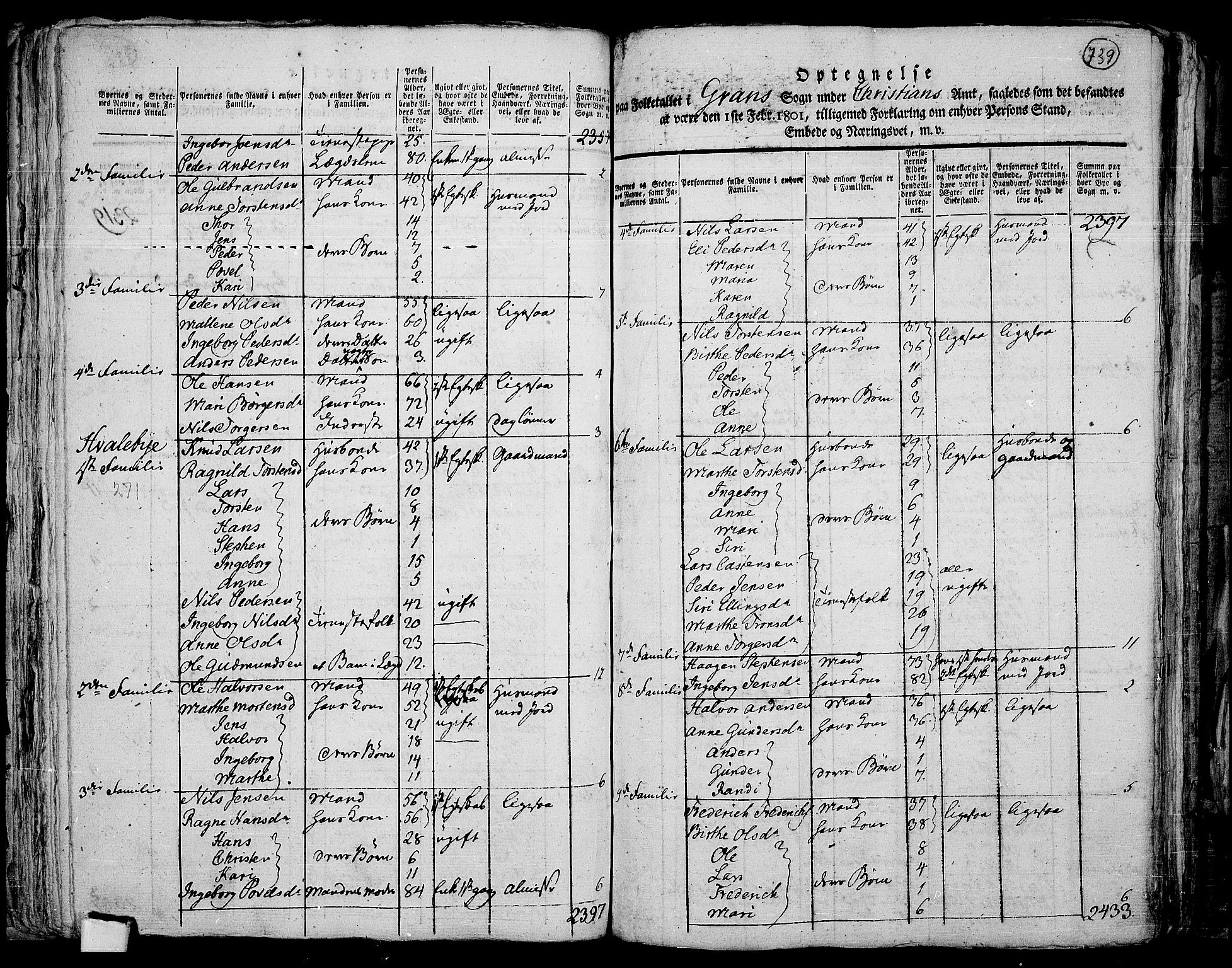 RA, 1801 census for 0534P Gran, 1801, p. 738b-739a