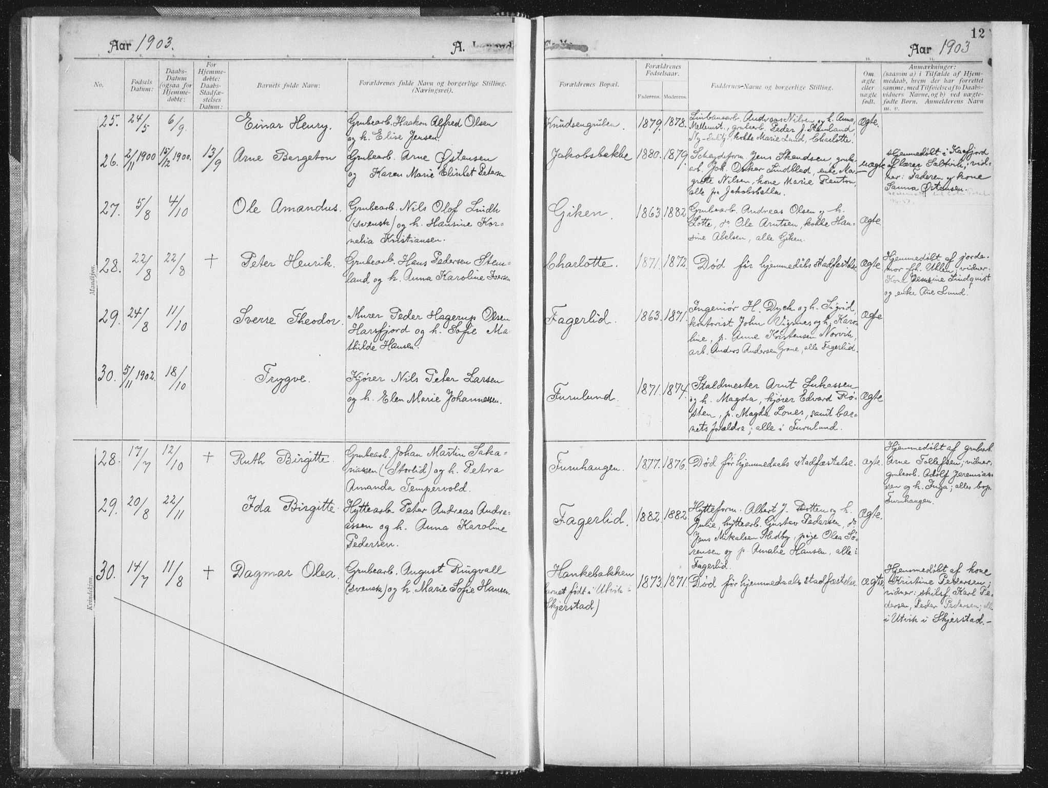 Ministerialprotokoller, klokkerbøker og fødselsregistre - Nordland, AV/SAT-A-1459/850/L0711: Curate's parish register no. 850B01, 1902-1915, p. 12