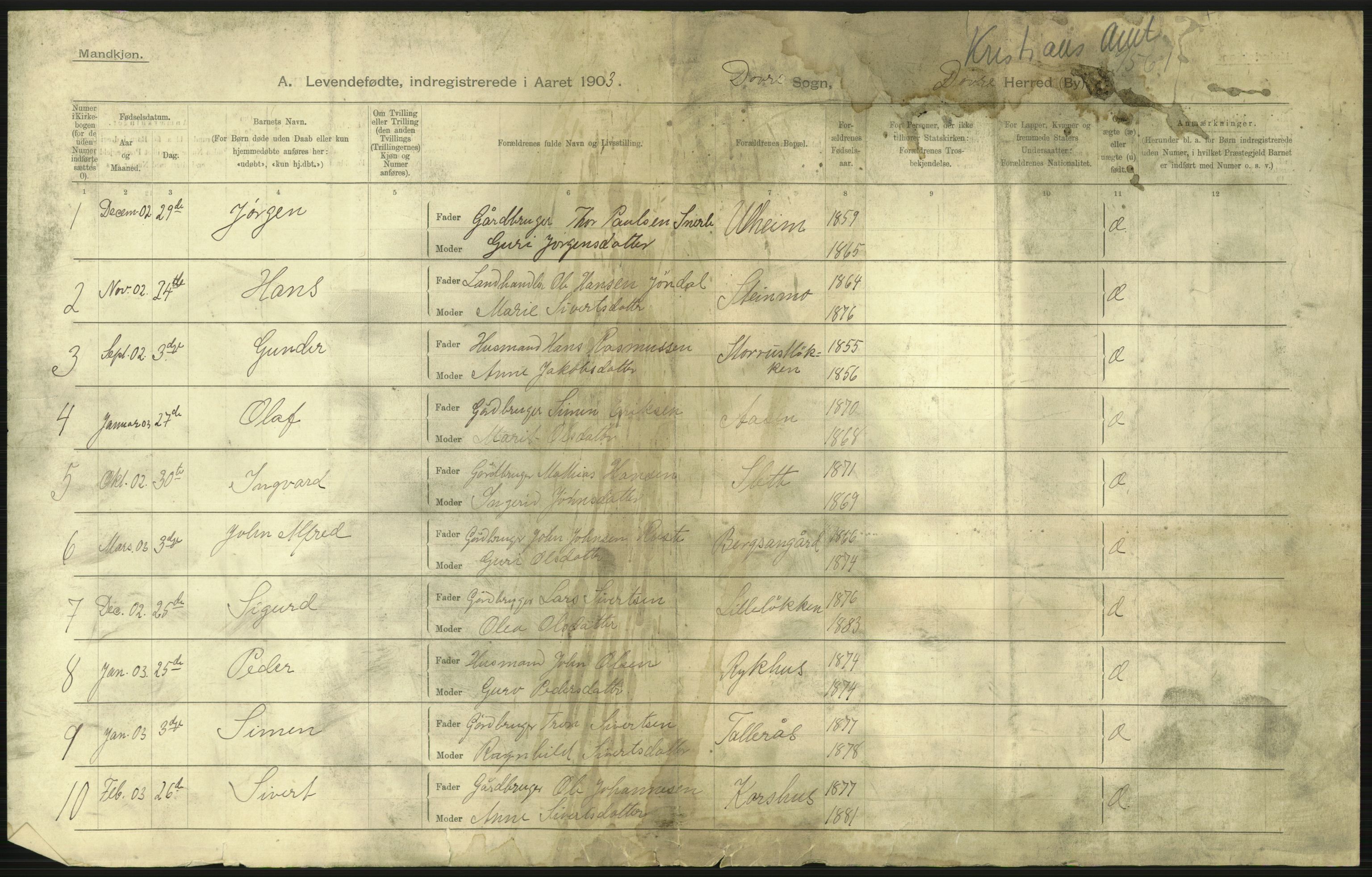 Statistisk sentralbyrå, Sosiodemografiske emner, Befolkning, RA/S-2228/D/Df/Dfa/Dfaa/L0006: Kristians amt: Fødte, gifte, døde, 1903, p. 3