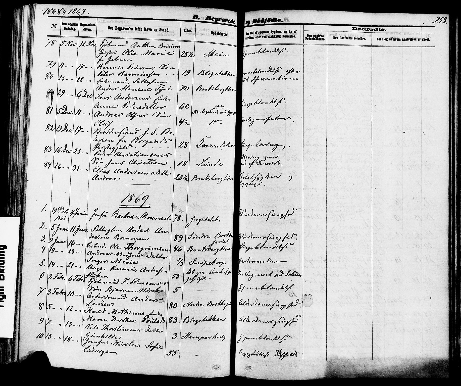 Skien kirkebøker, SAKO/A-302/F/Fa/L0008: Parish register (official) no. 8, 1866-1877, p. 253