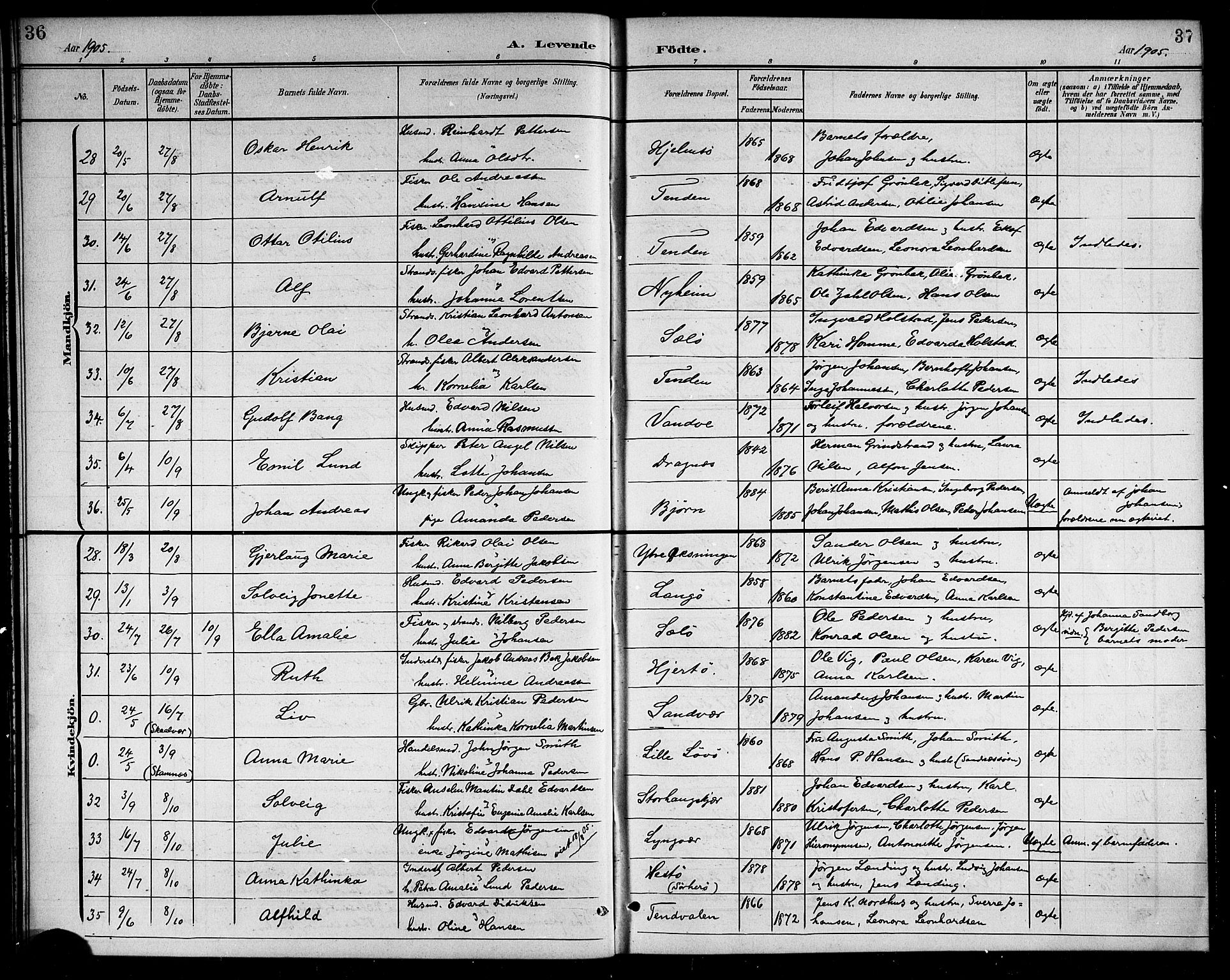 Ministerialprotokoller, klokkerbøker og fødselsregistre - Nordland, SAT/A-1459/834/L0516: Parish register (copy) no. 834C06, 1902-1918, p. 36-37