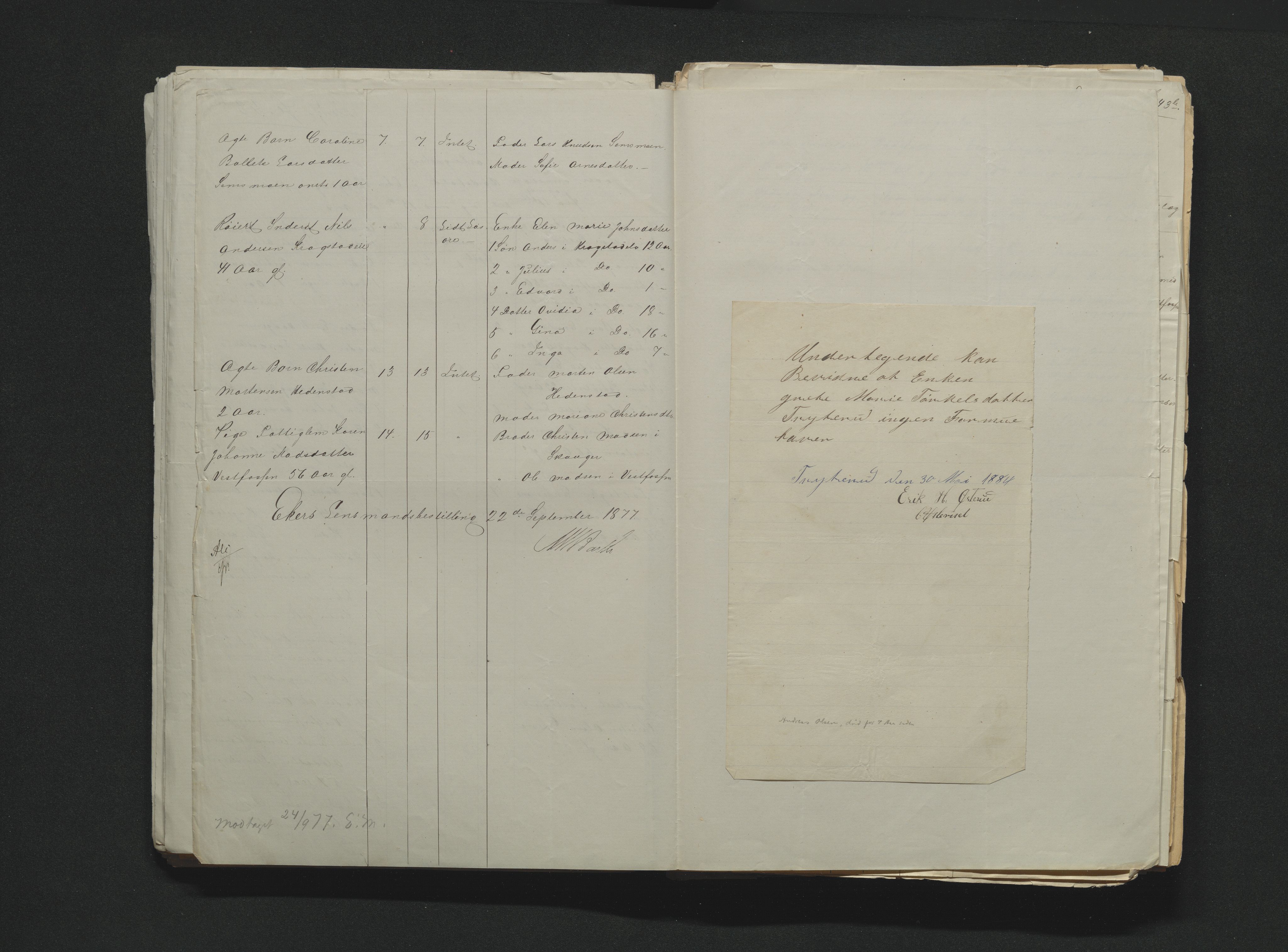Eiker, Modum og Sigdal sorenskriveri, AV/SAKO-A-123/H/Ha/Hab/L0014: Dødsfallsmeldinger, 1874-1877, p. 610