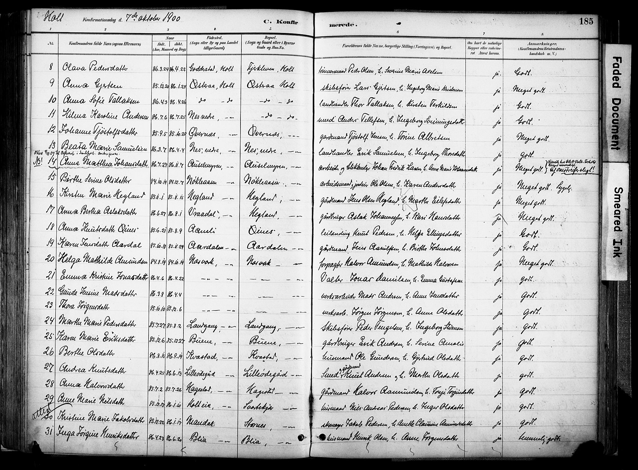 Holt sokneprestkontor, SAK/1111-0021/F/Fa/L0012: Parish register (official) no. A 12, 1885-1907, p. 185